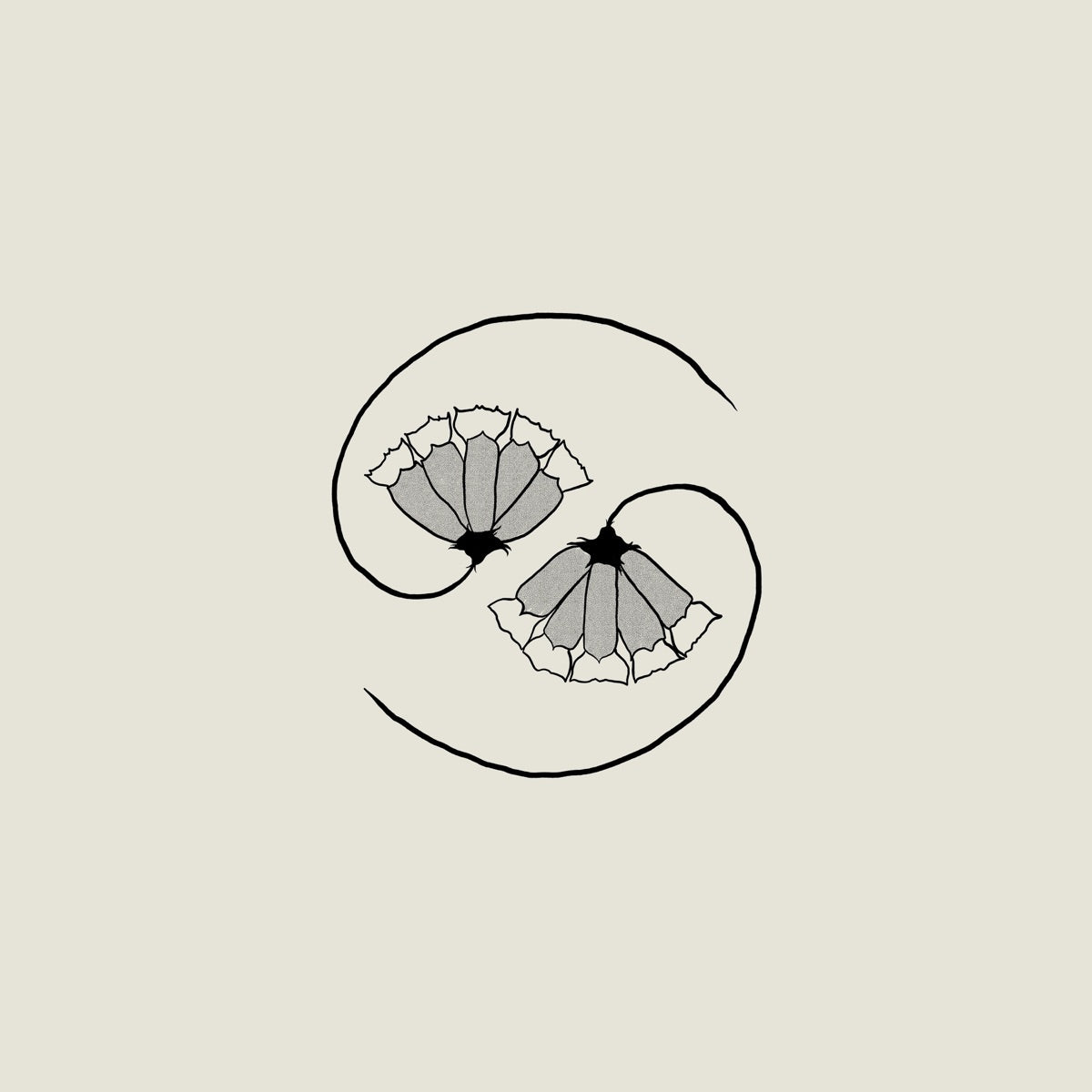 Godspeed You! Black Emperor: G_d's Pee At State's End! (Used Vinyl LP + 10'')