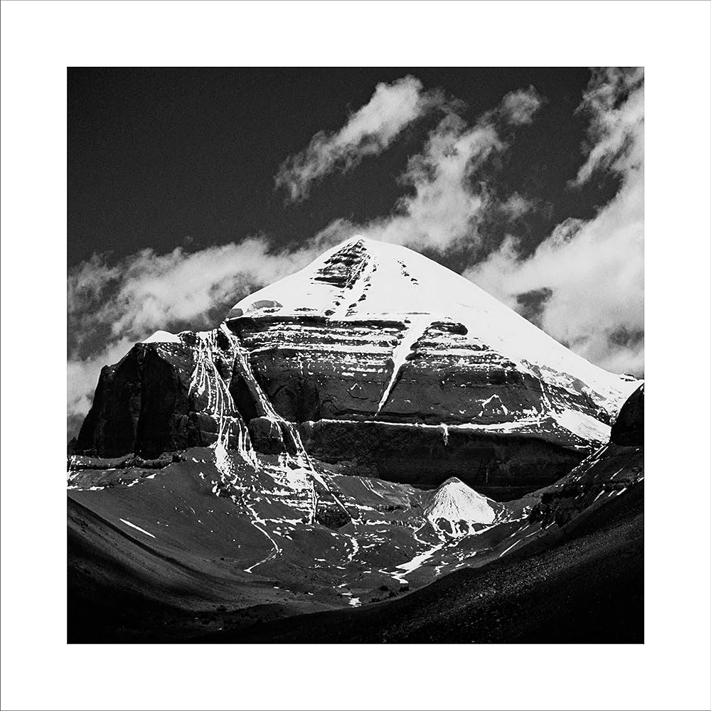 Throbbing Gristle: Part Two - The Endless Not / TG Now (Used Vinyl 3xLP Box Set)