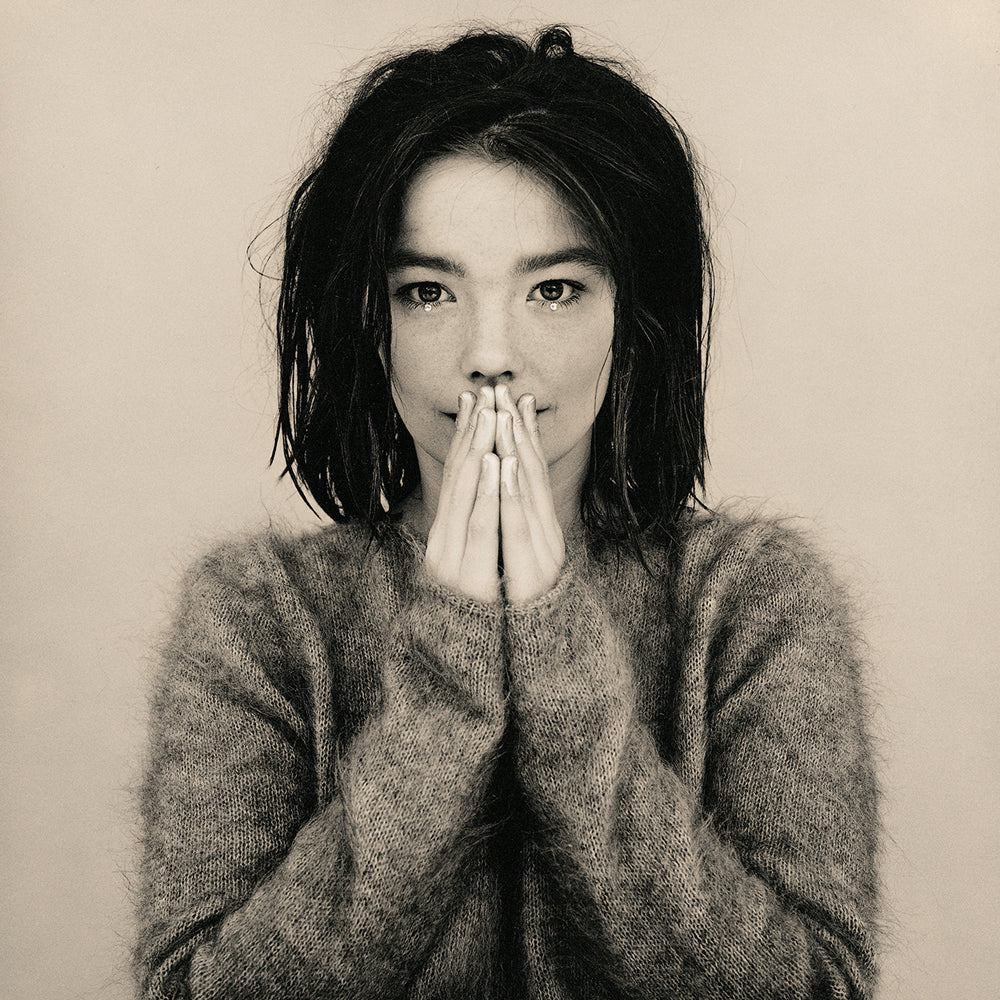 Bjork: Debut (Used Vinyl LP)