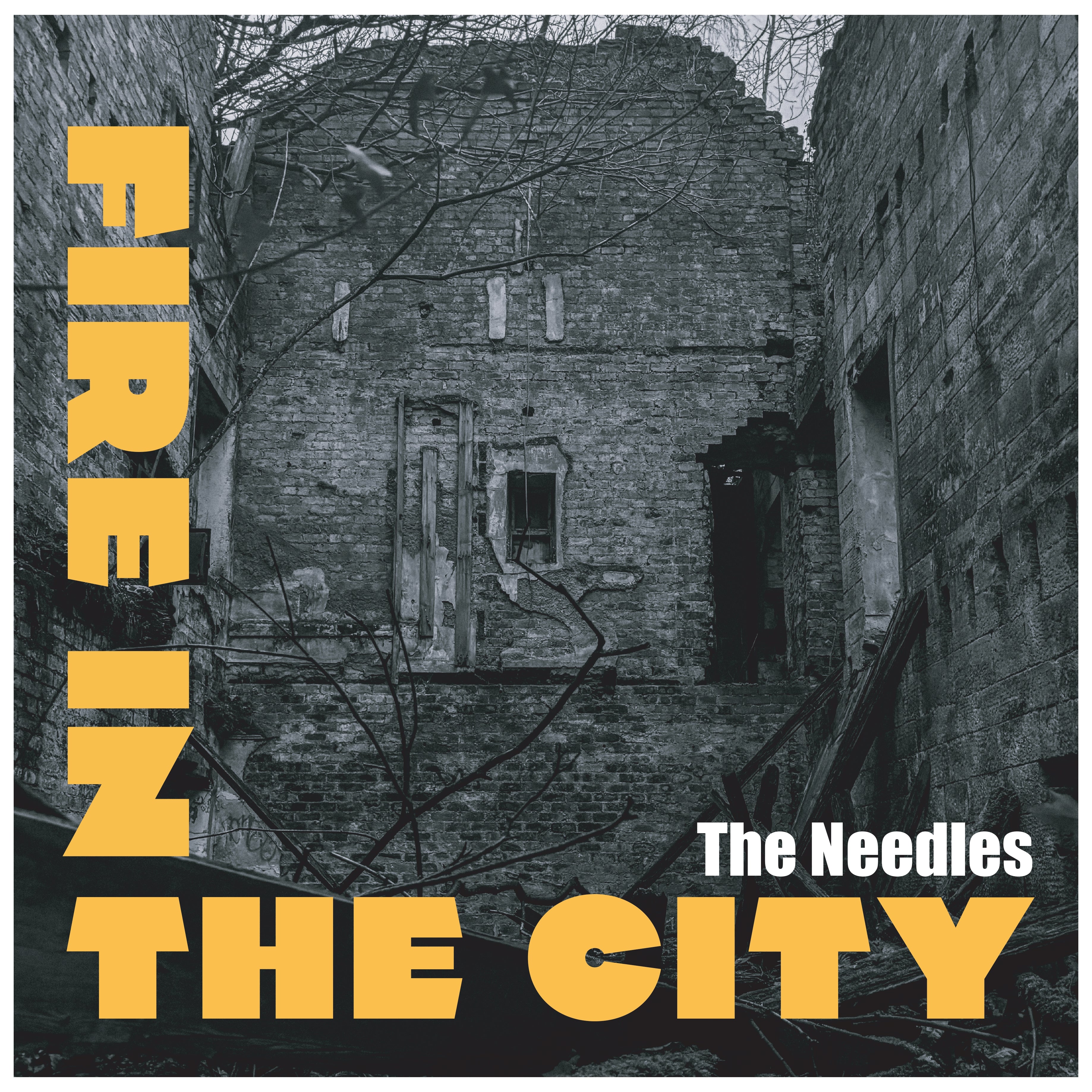 Pre-Order 04/09/26 - Needles, The: Fire In The City (Vinyl LP)