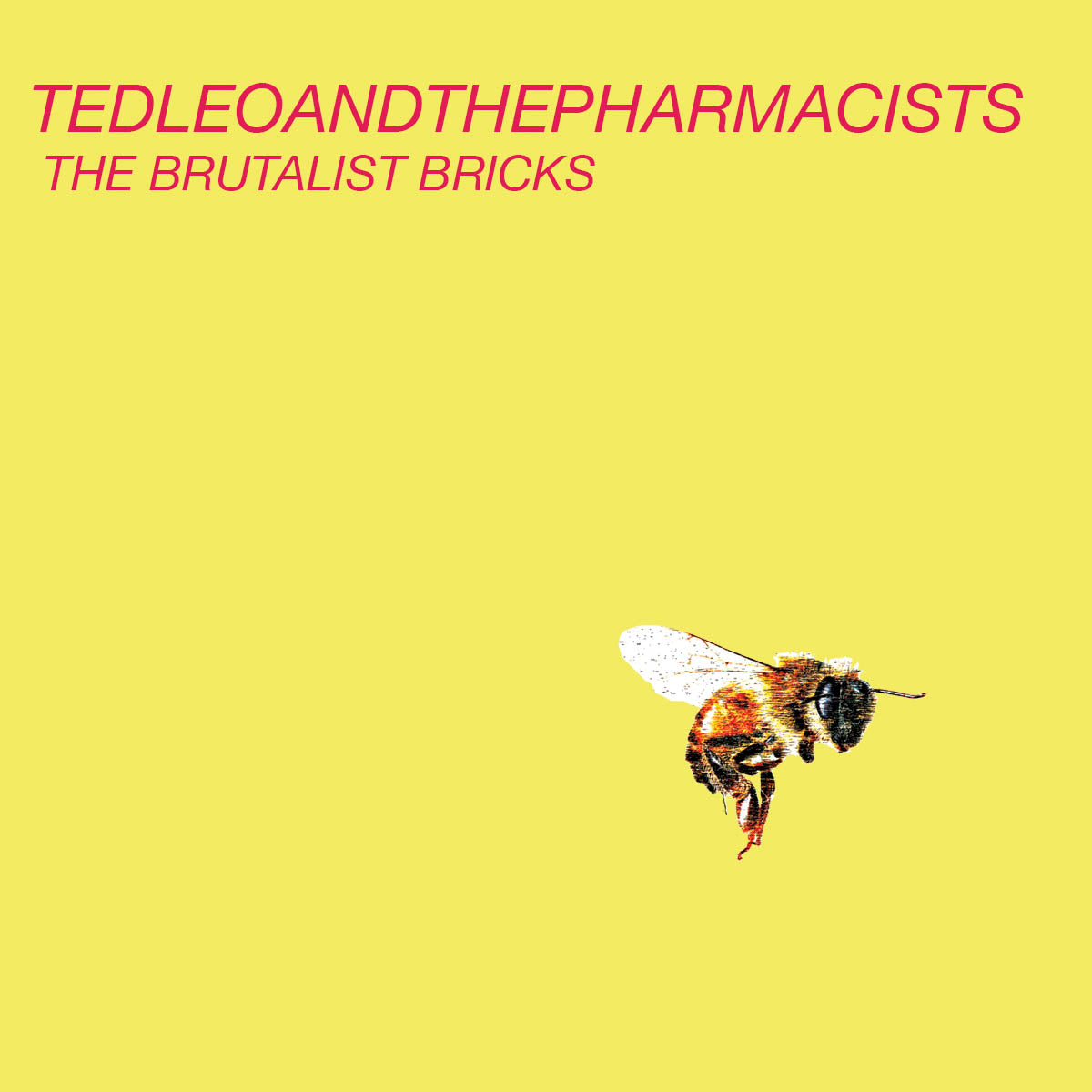 TedLeoAndThePharmacists: The Brutalist Bricks (Used Vinyl LP)