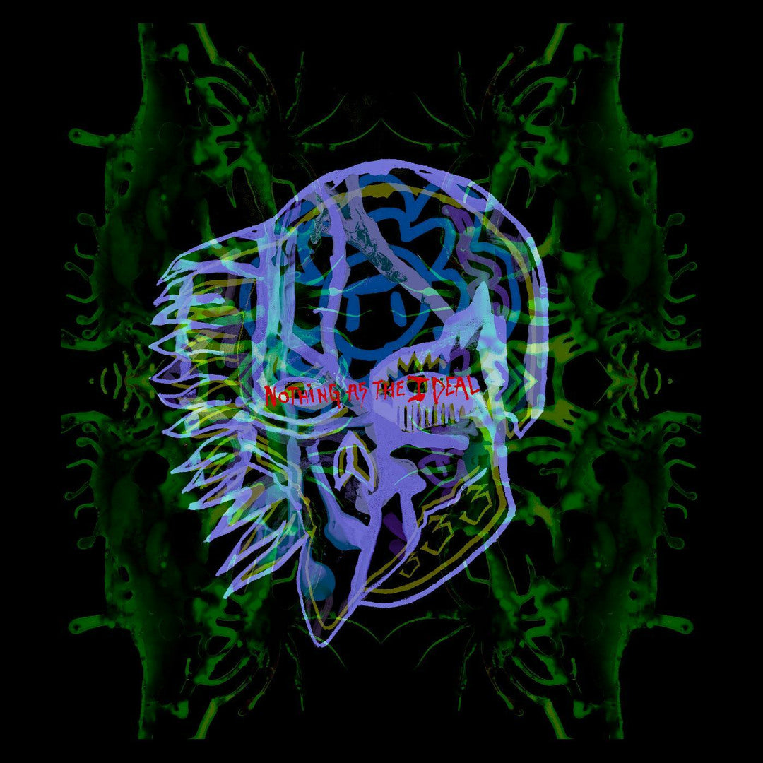 All Them Witches: Nothing As The Ideal - Picture Disc (Used Vinyl LP)