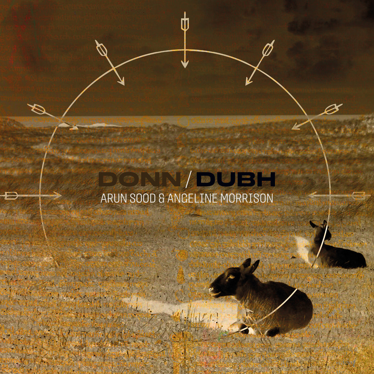 Pre-Order 07/08/26 - Sood, Arun & Angeline Morrison: Donn/Dubh (Coloured Vinyl LP)
