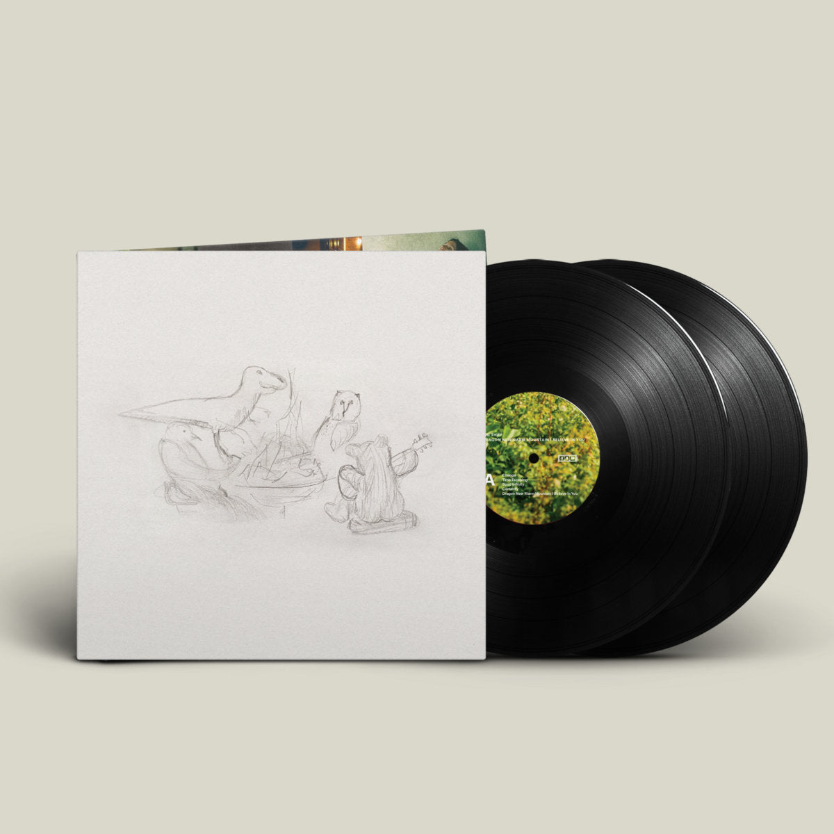 Big Thief: Dragon New Warm Mountain I Believe In You (Vinyl 2xLP)