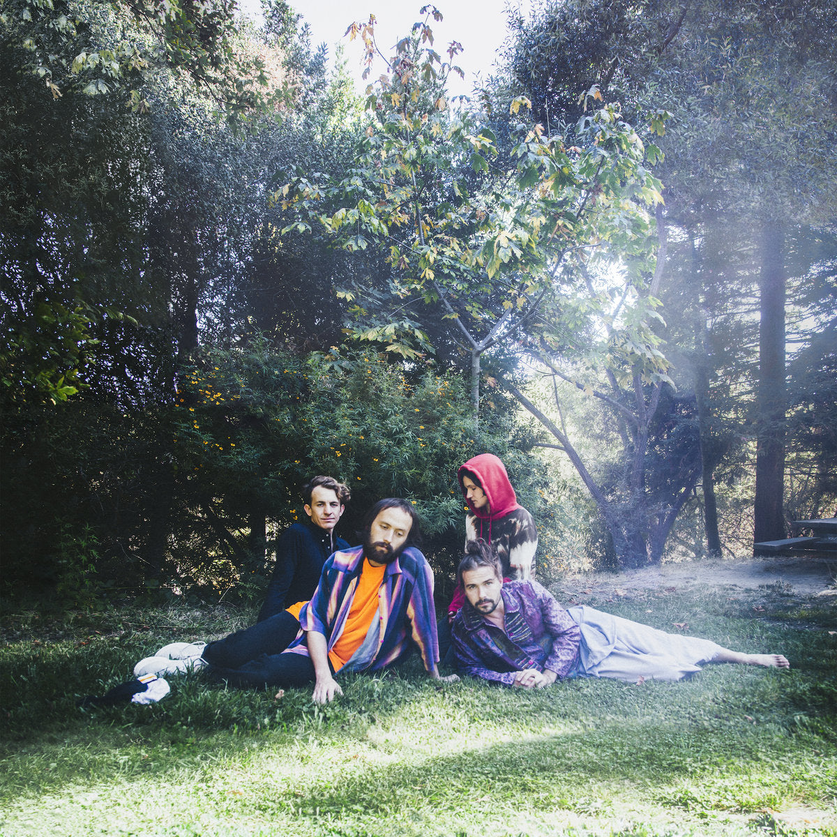 Big Thief: U.F.O.F (Vinyl LP)