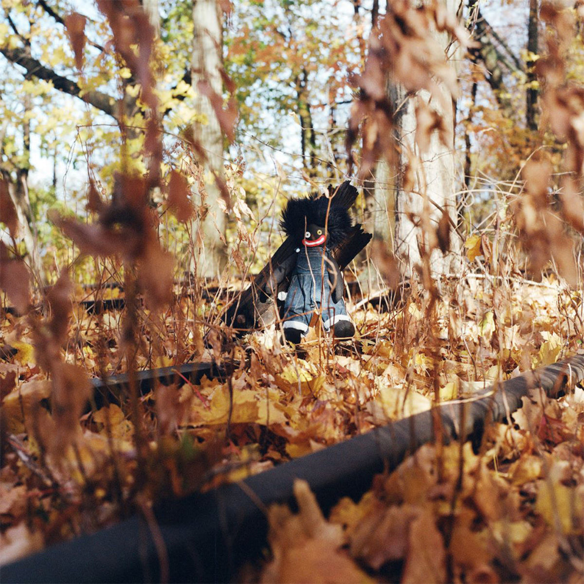 Woods, Billy: Golliwog (Vinyl 2xLP)