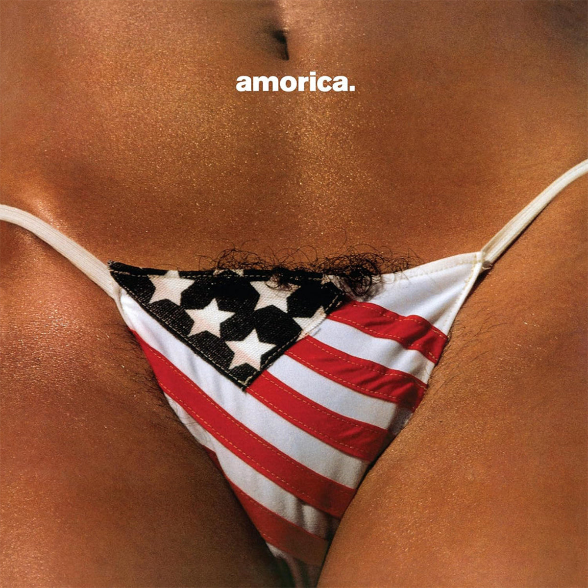Black Crowes, The: Amorica. (CD)