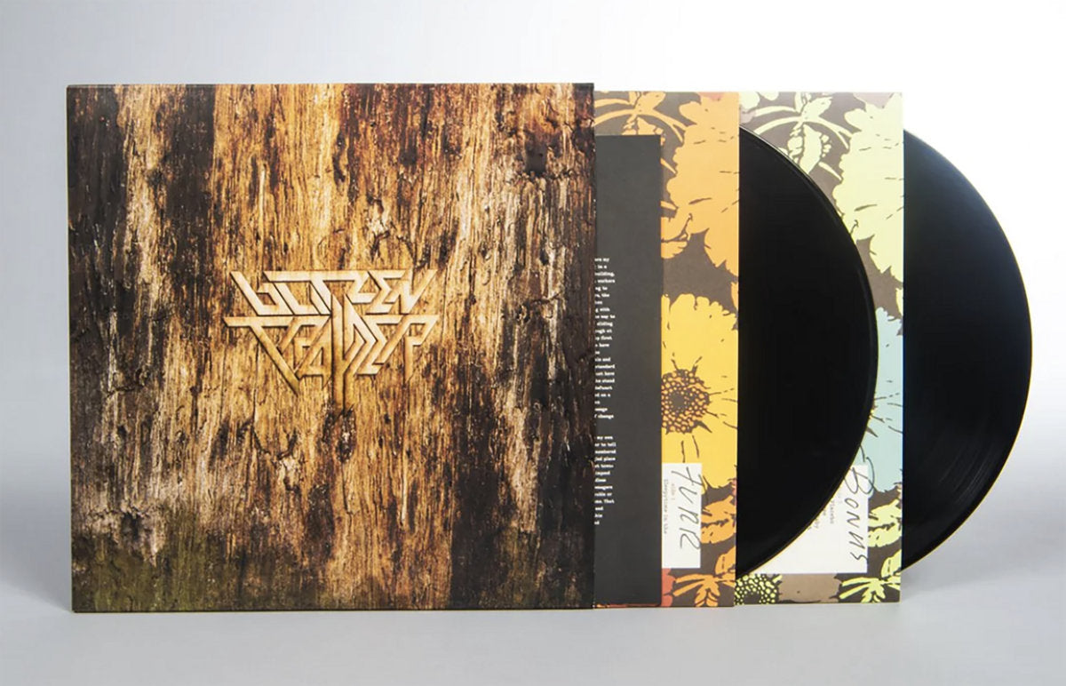 Blitzen Trapper: Furr - 10th Anniversary Edition (Vinyl 2xLP)