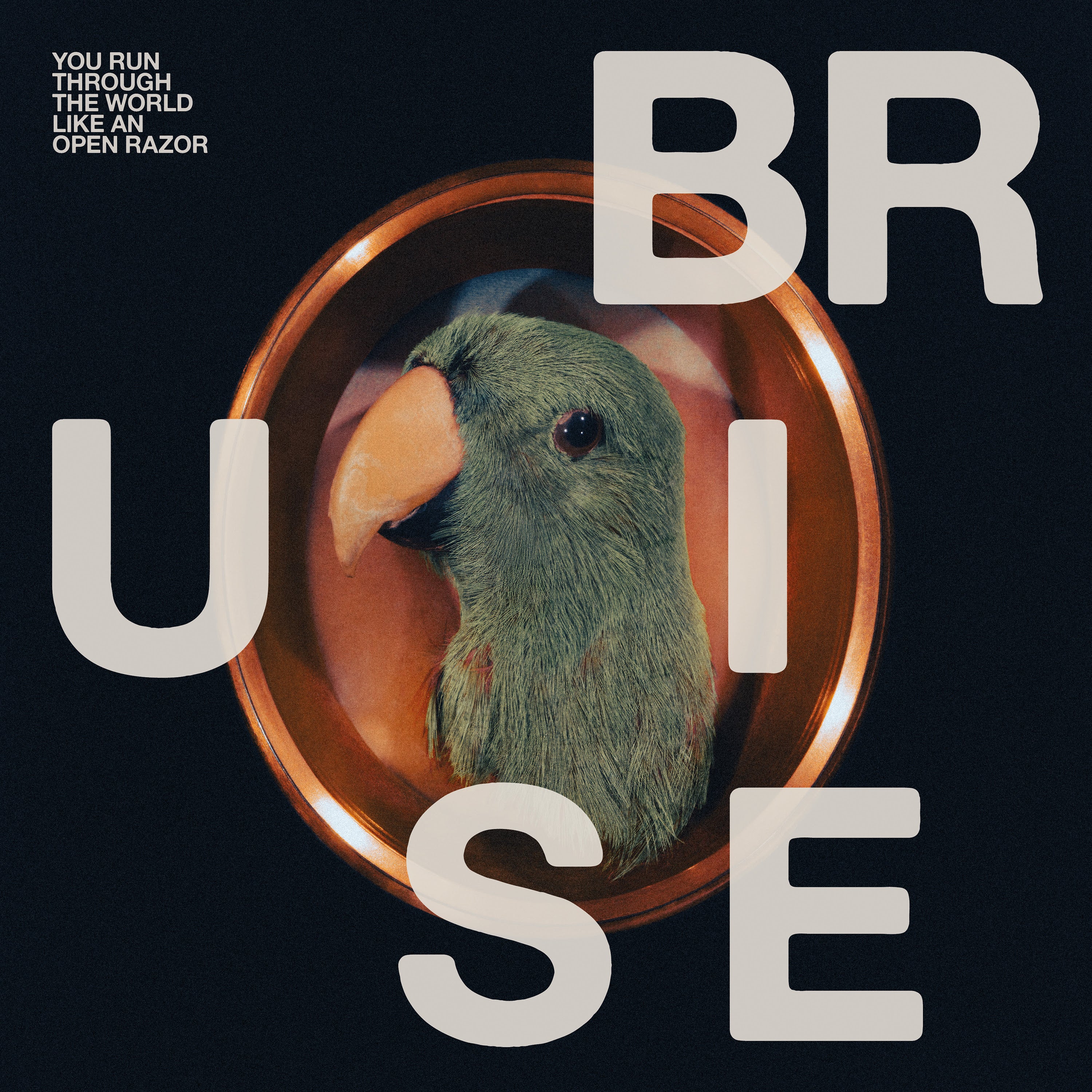 Bruise Blood: You Run Through The World Like An Open Razor (Vinyl LP)