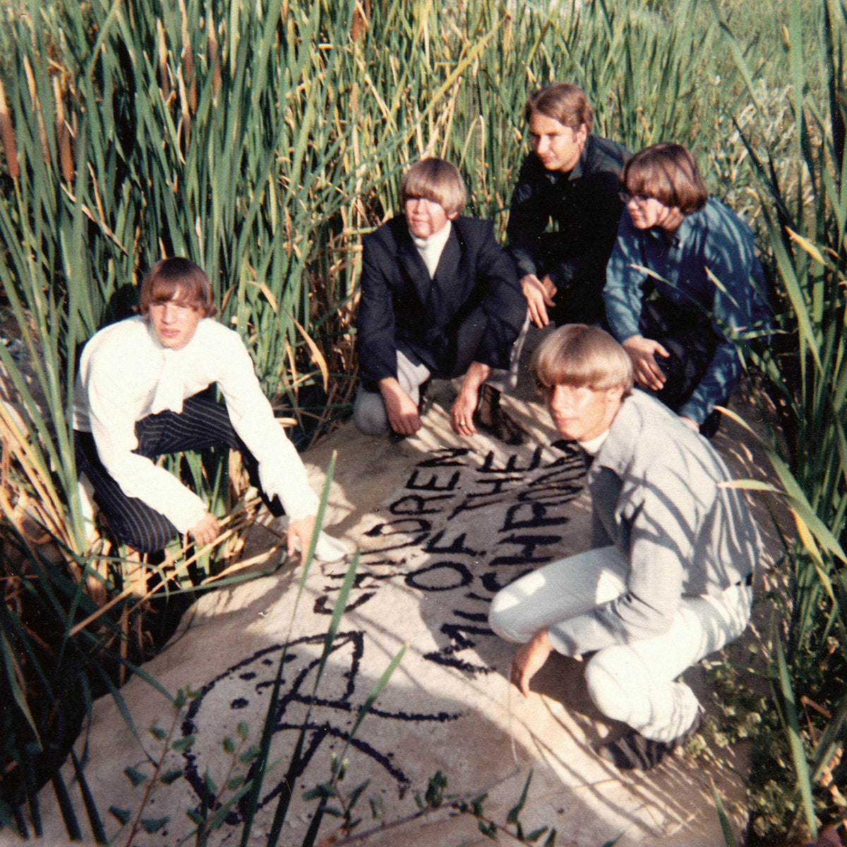 Children Of The Mushroom: Children Of The Mushroom (CD)