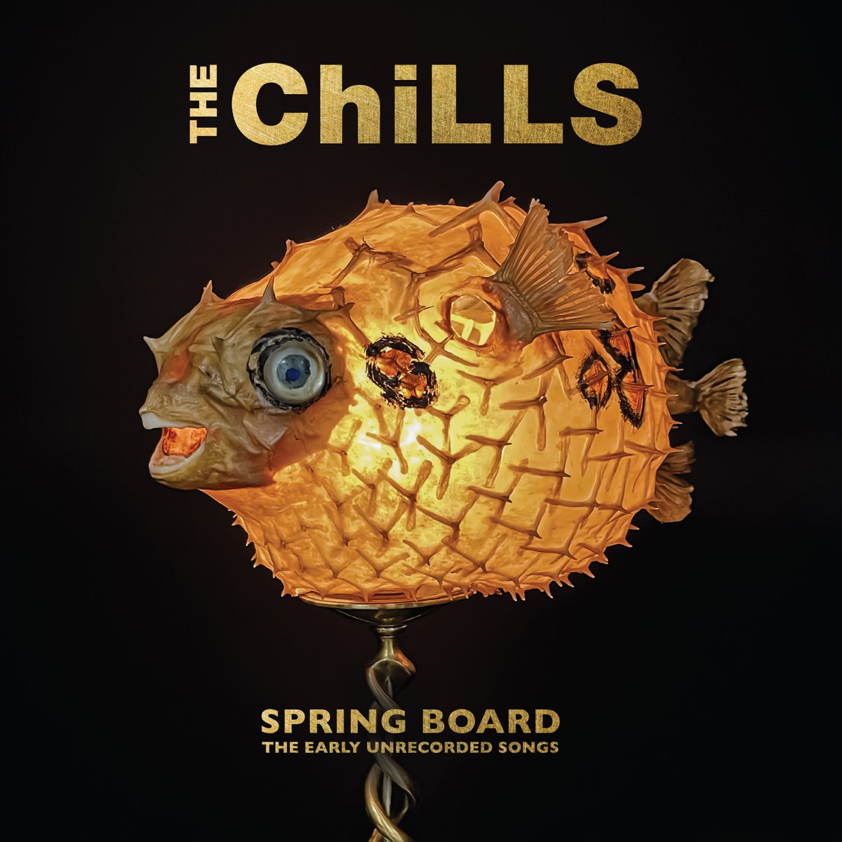 Chills, The: Spring Board - The Early Unrecorded Songs (Vinyl 2xLP)