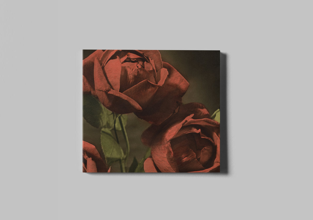 Pre-Order 01/05/26 - Cindy: Another Country (CD)