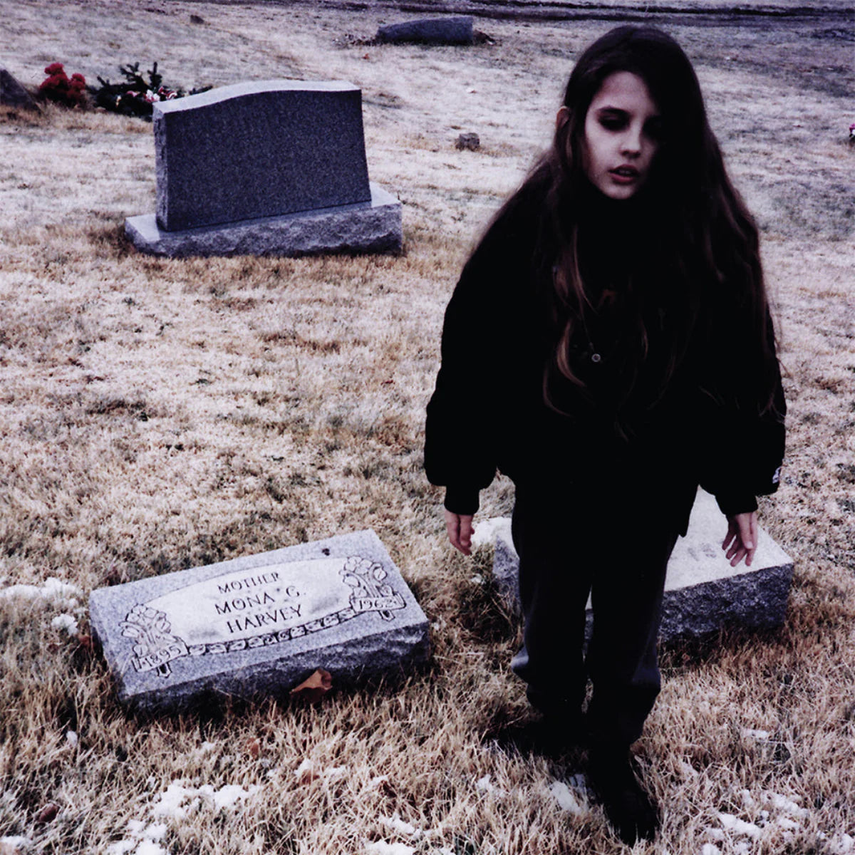 Crystal Castles: Crystal Castles (Used Vinyl 2xLP)
