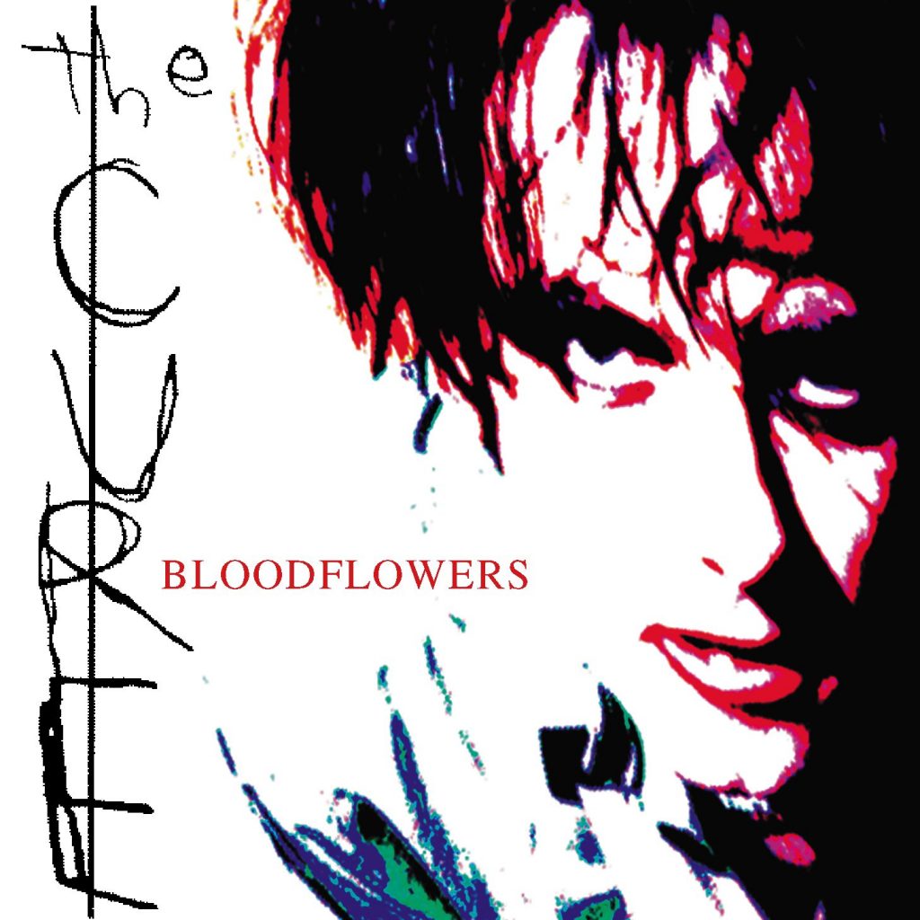 Cure, The: Bloodflowers - Picture Disc (Used Vinyl 2xLP)