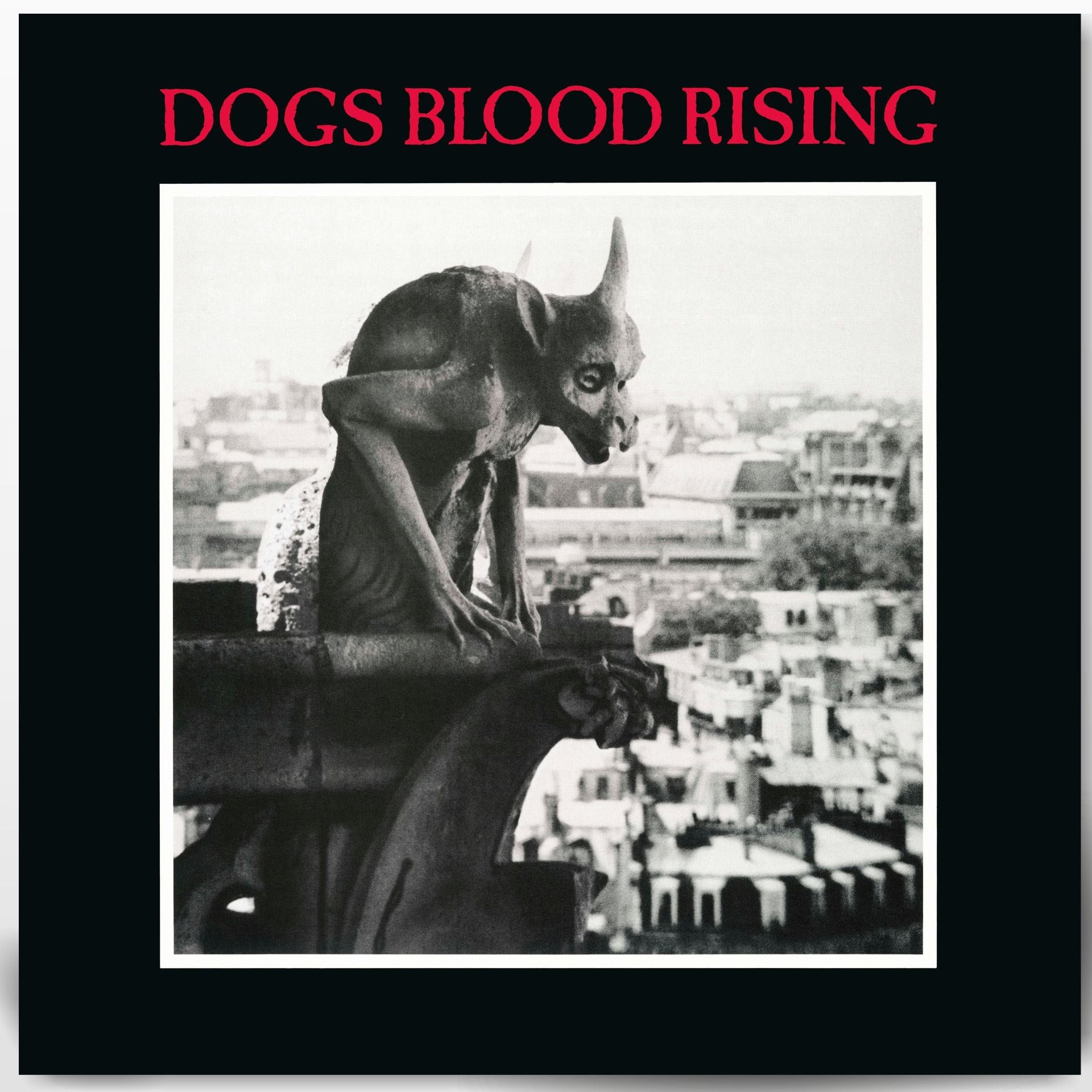 Pre-Order 22/05/26 - Current 93: Dogs Blood Rising (Vinyl LP)
