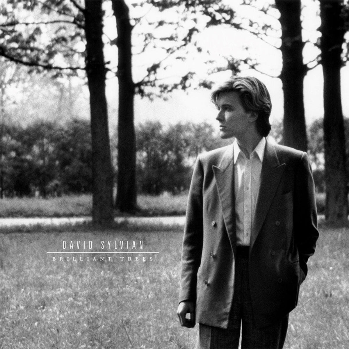 Sylvian, David: Brilliant Trees (Coloured Vinyl LP)