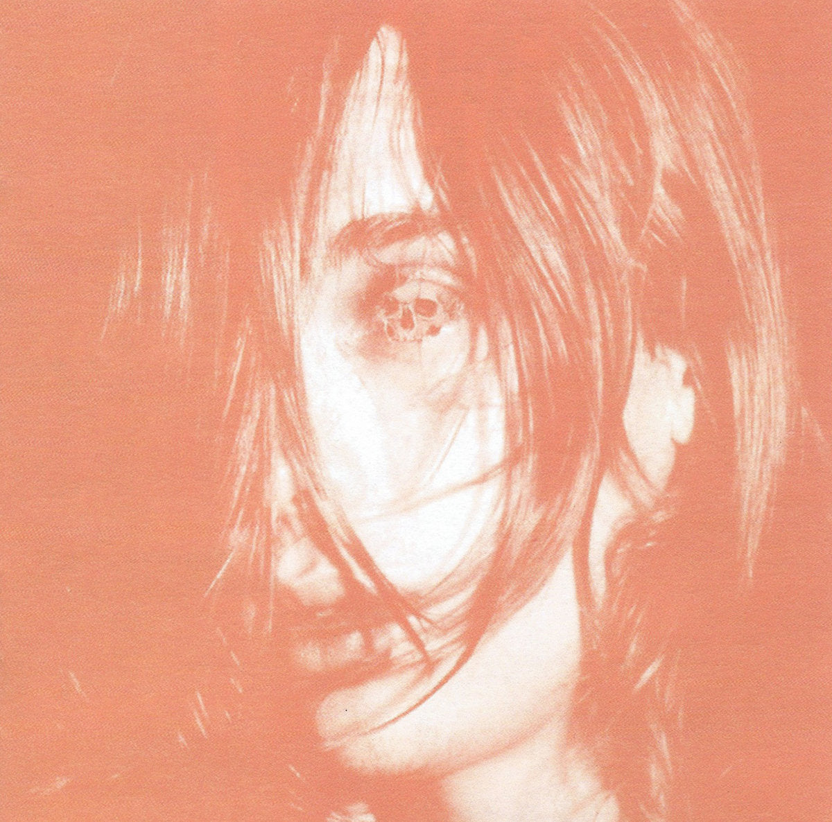 Deerhunter: Microcastle / Weird Era Cont. (Vinyl 2xLP)