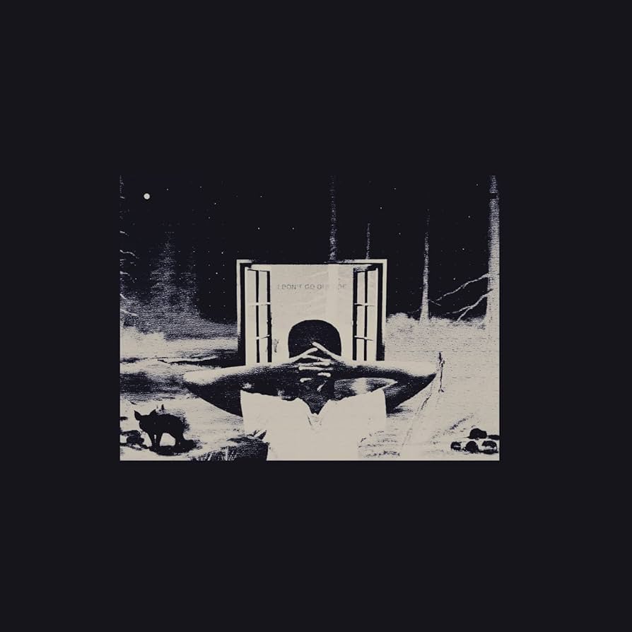 Earl Sweatshirt: I Don't Like Shit, I Don't Go Outside (Vinyl LP)