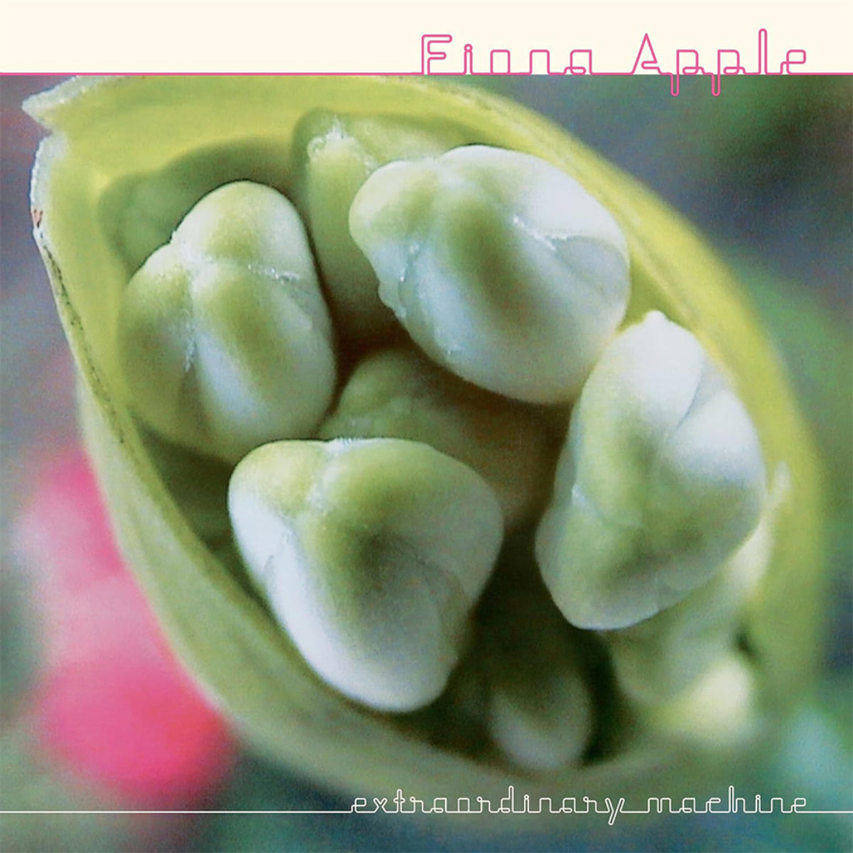 Apple, Fiona: Extraordinary Machine (CD)