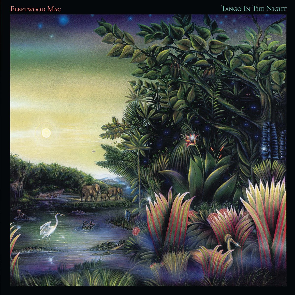tango in the night fleetwood mac