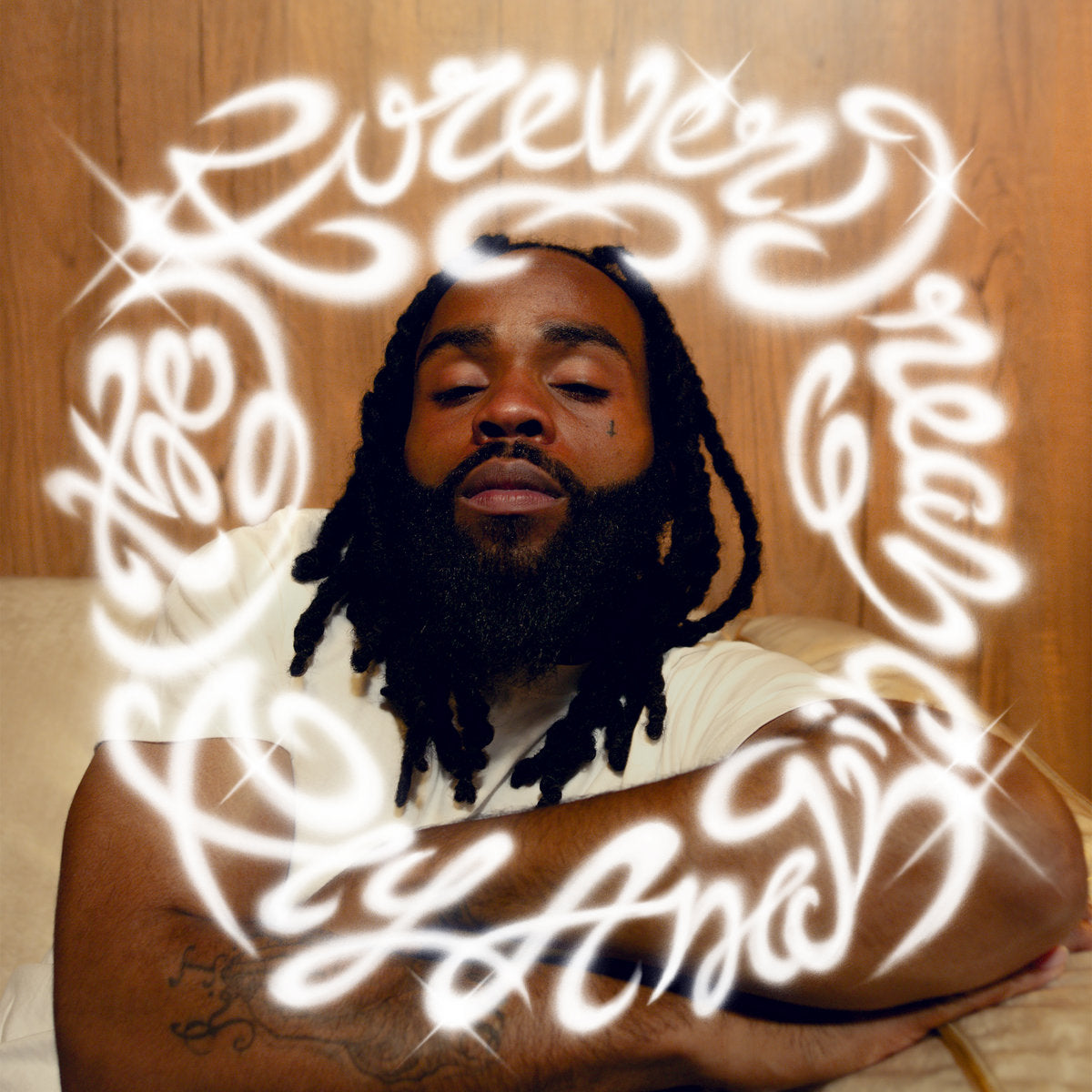 Fly Anakin: (The) Forever Dream (Vinyl 2xLP)