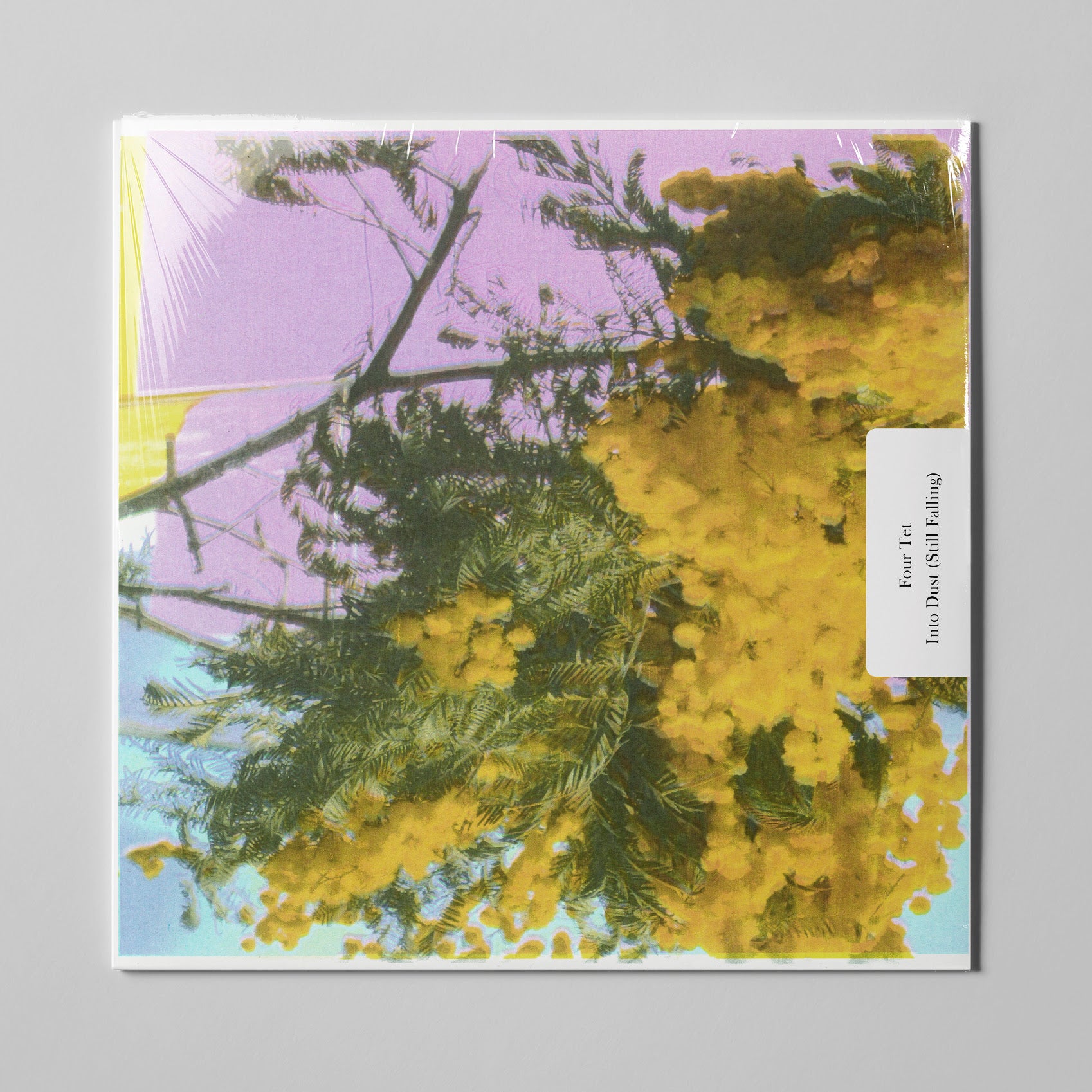 Four Tet: Into Dust (Still Falling) (Vinyl 12")