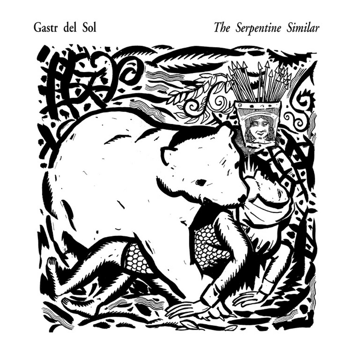 Gastr Del Sol: The Serpentine Similar (Vinyl LP)