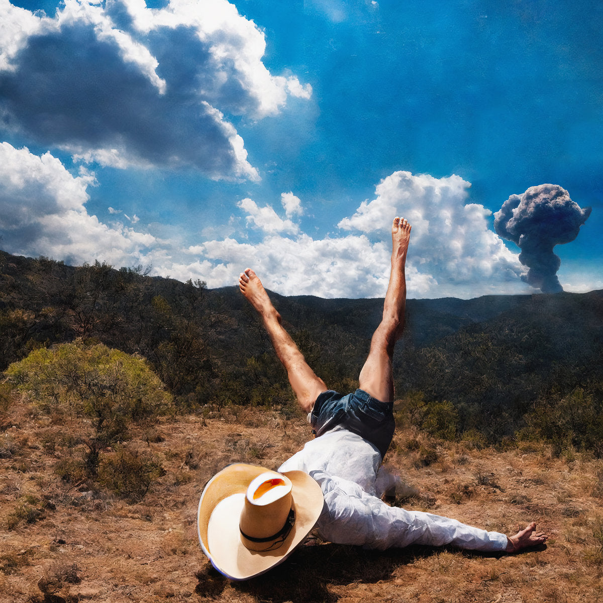 Geese: 3D Country (CD)