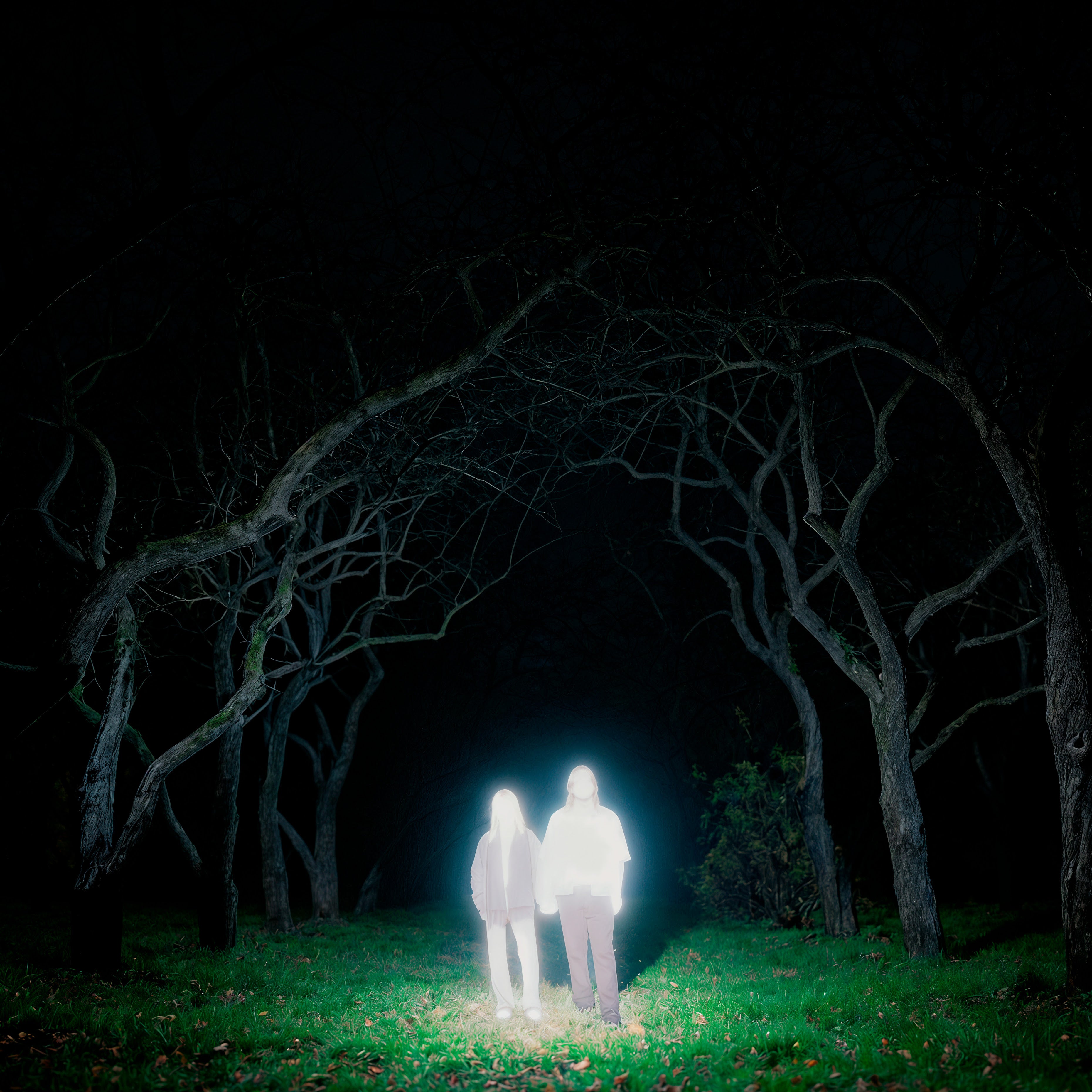 Pre-Order 04/09/26 - Gnoomes: Losey (Coloured Vinyl LP)