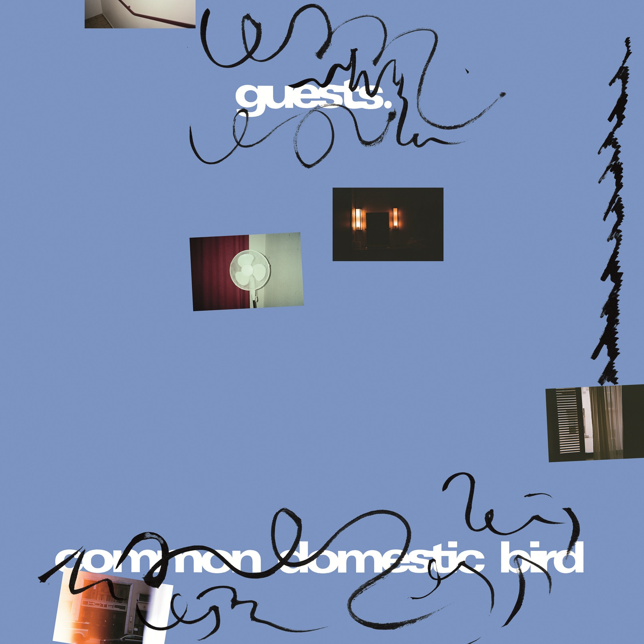 Pre-Order 10/04/26 - Guests: Common Domestic Bird (Vinyl LP)