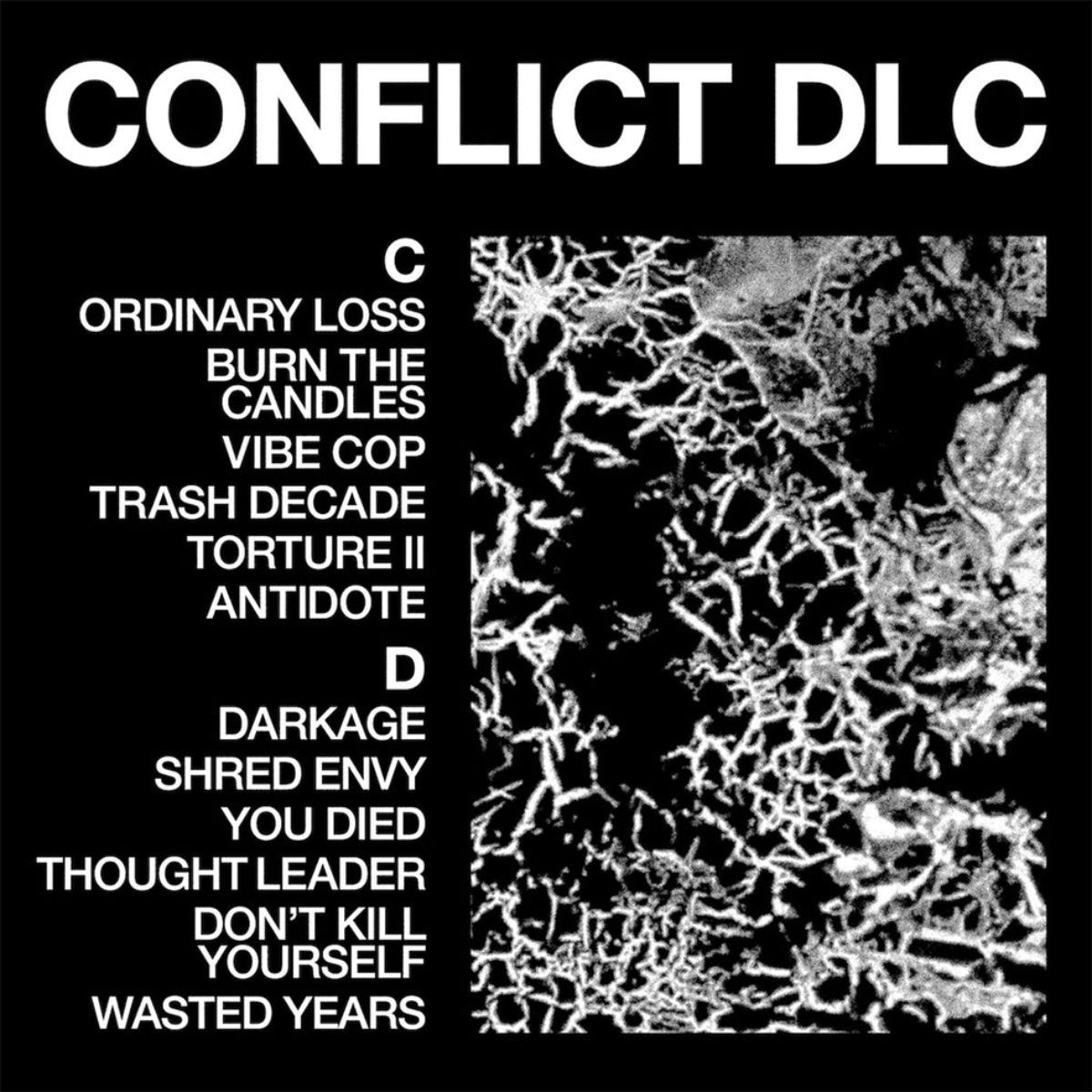 Health: Conflict DLC (CD)