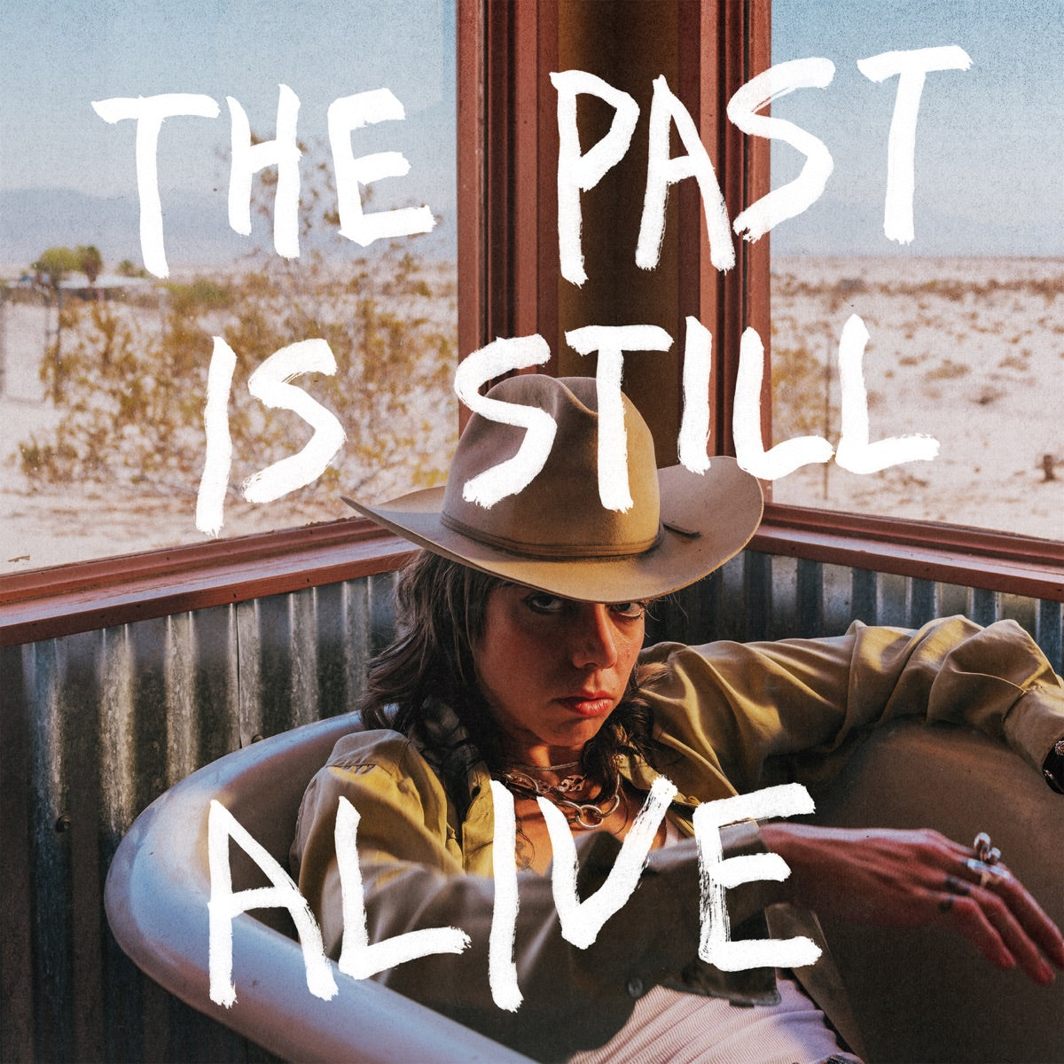Hurray For The Riff Raff: The Past Is Still Alive (CD)