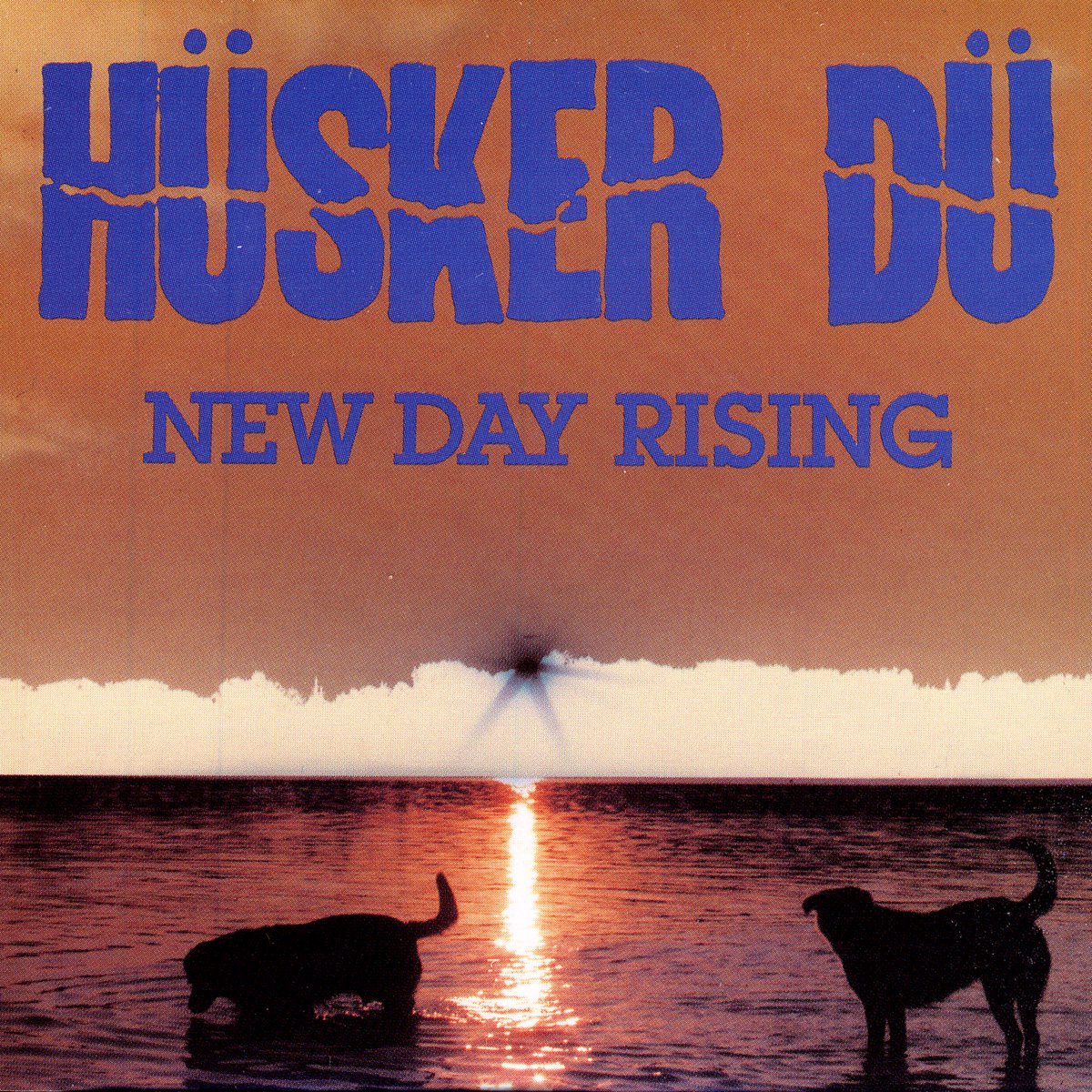 Hüsker Dü: New Day Rising (Vinyl LP)