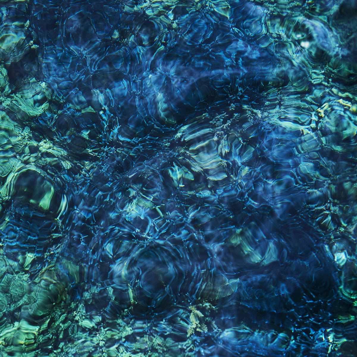 Aoba, Ichiko: Luminescent Creatures (Vinyl LP)