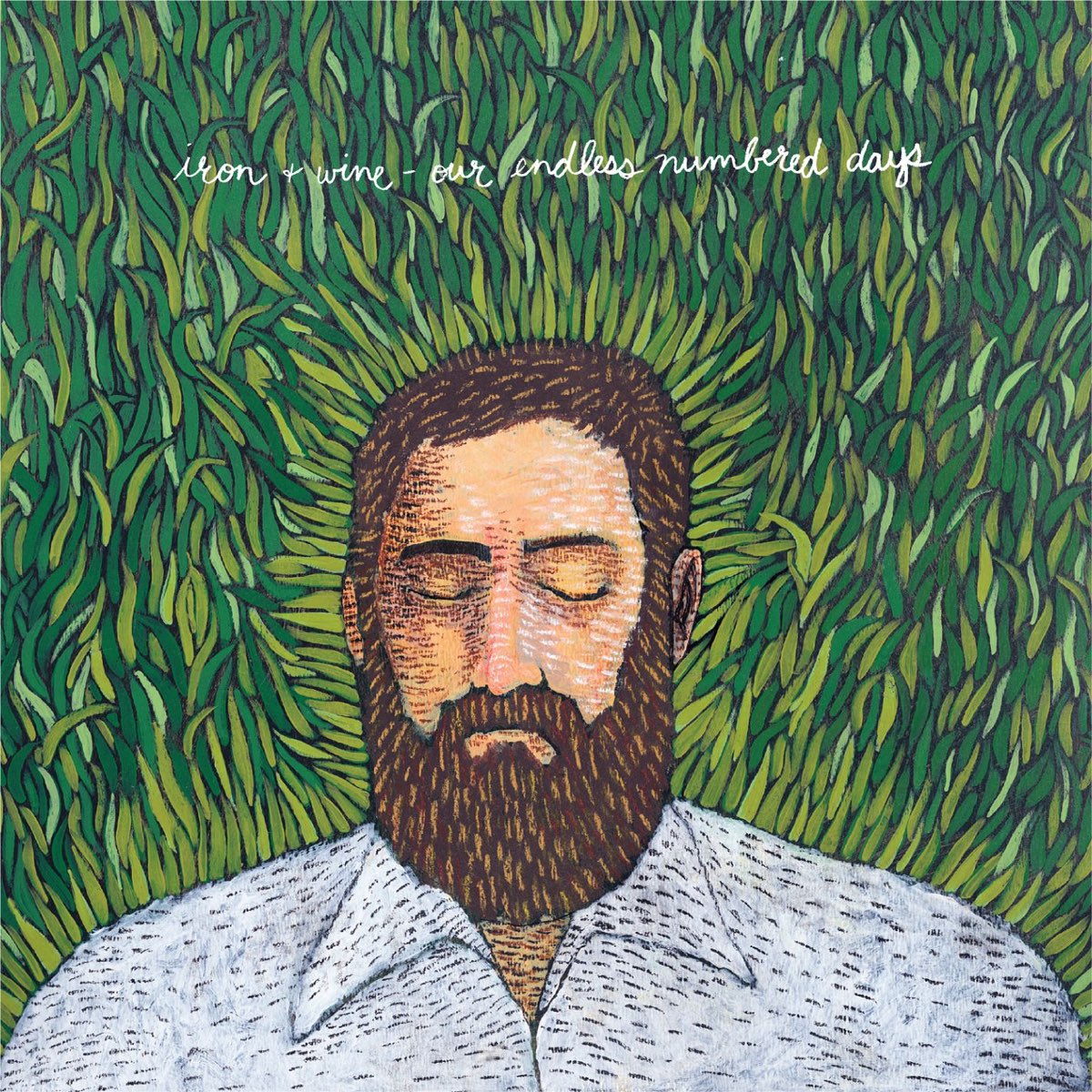 Iron & Wine: Our Endless Numbered Days (Vinyl LP)