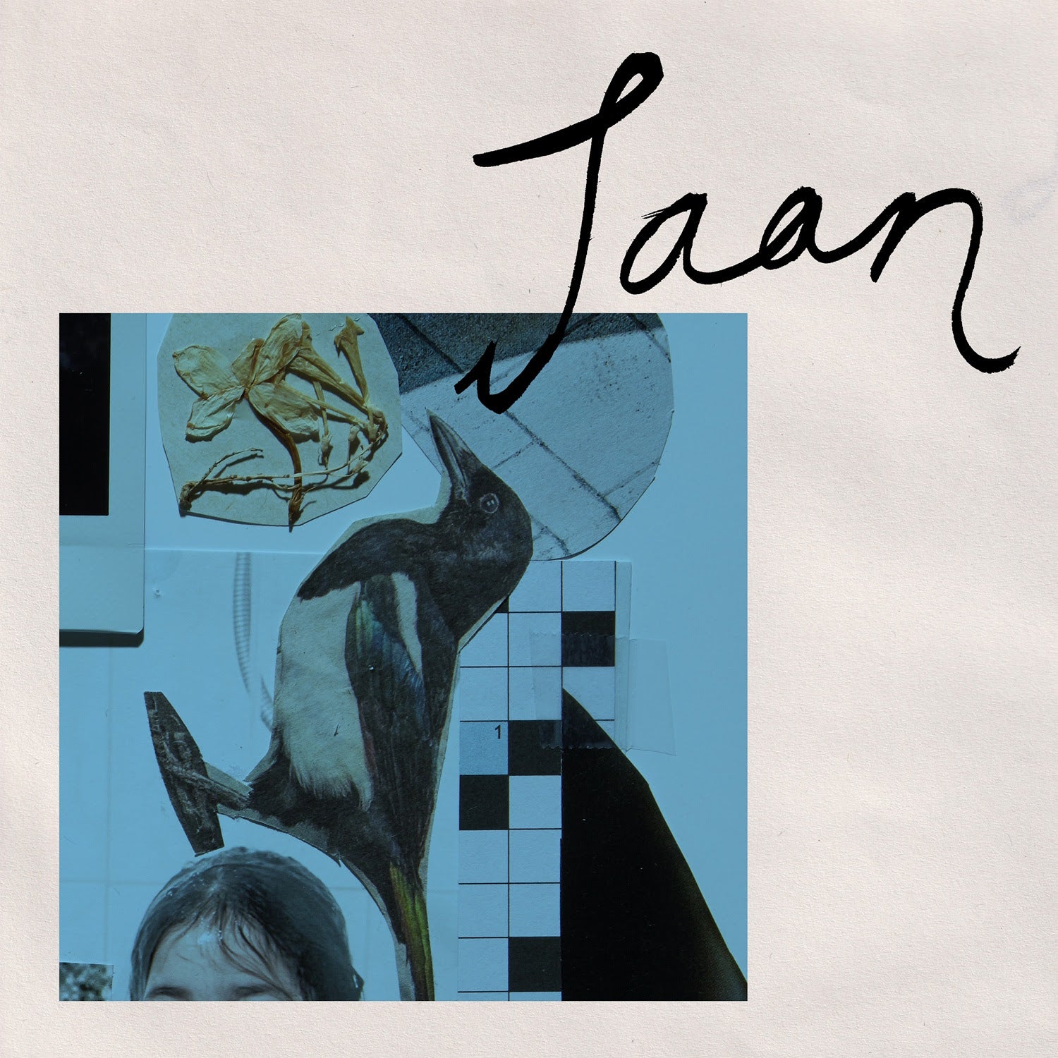 Jaan: Baghali (Vinyl LP)