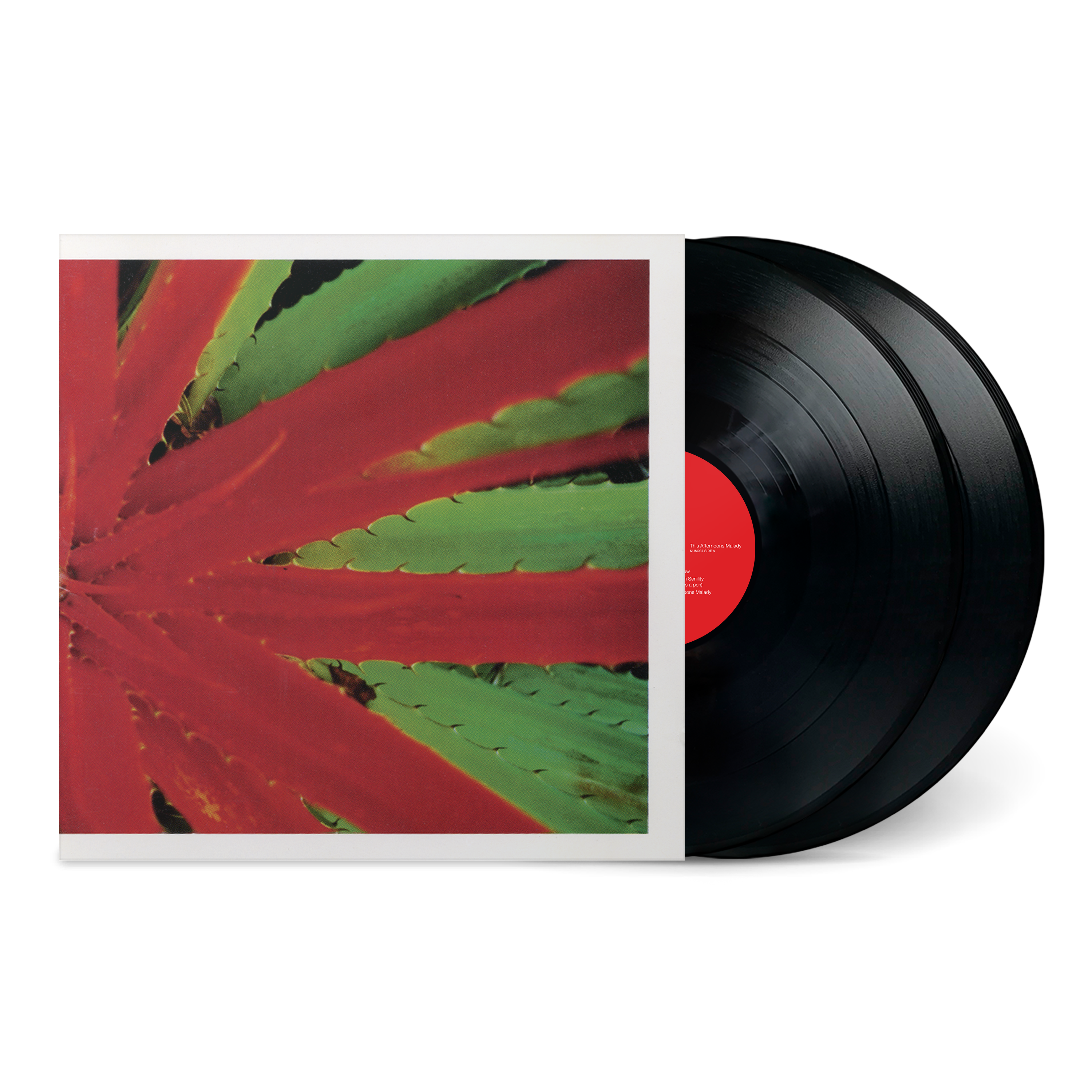 Jejune: This Afternoons Malady (Vinyl 2xLP)