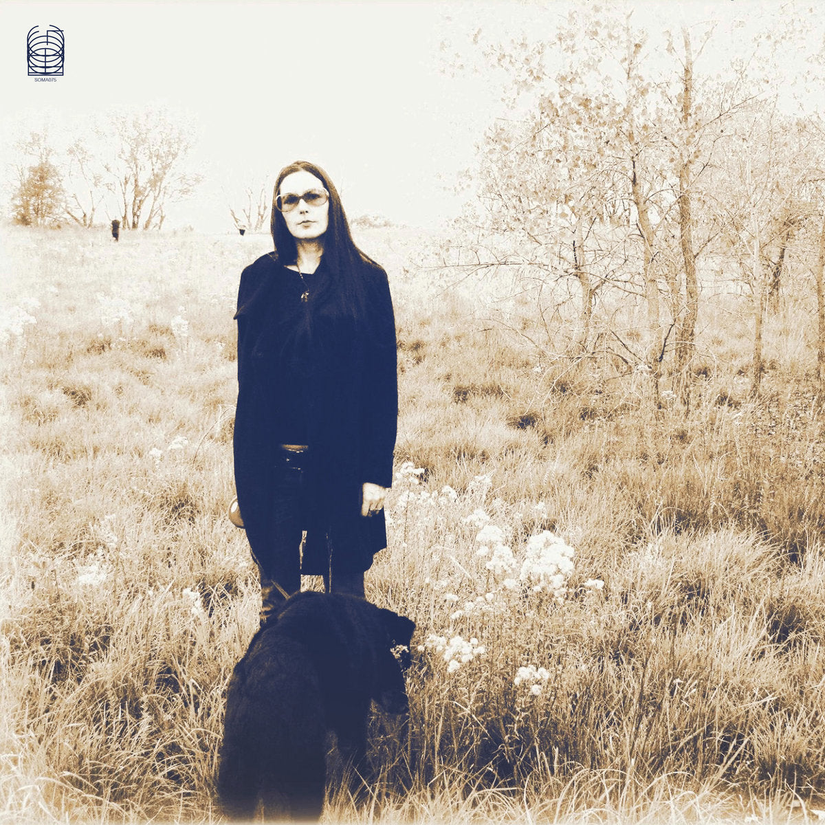 Sykes, Jesse & The Sweet Hereafter: Forever, I've Been Being Born (CD)