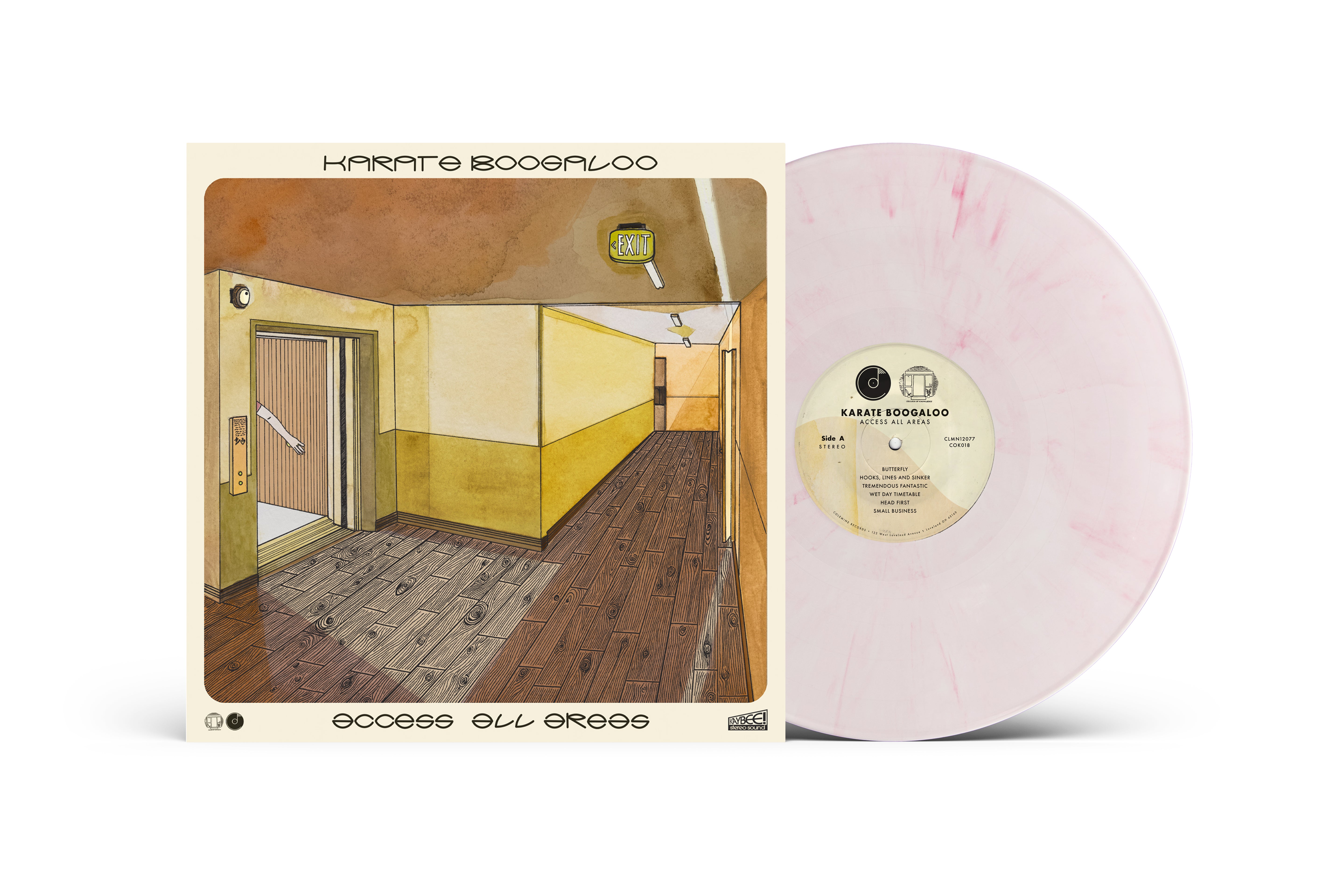 Pre-Order 09/10/26 - Karate Boogaloo: Access All Areas (Coloured Vinyl LP)