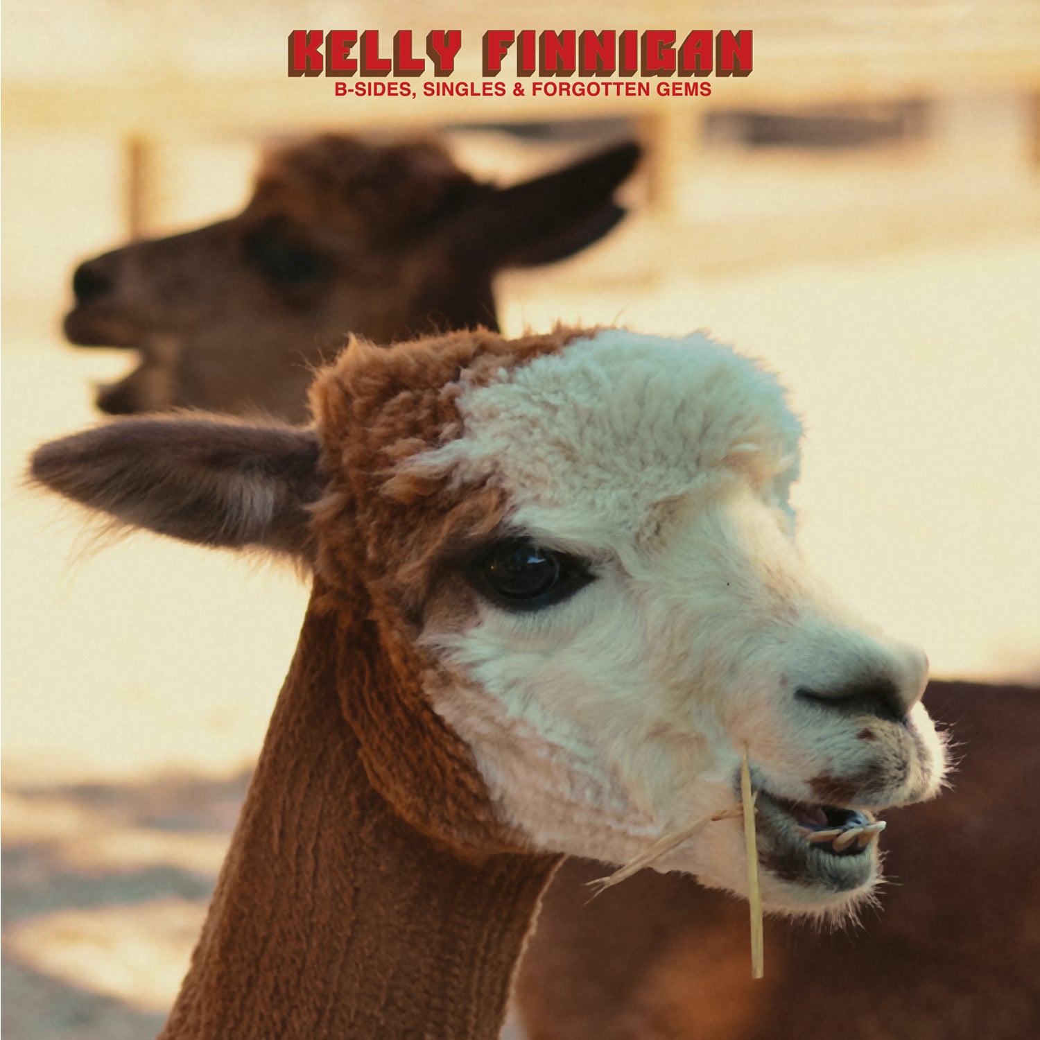 Pre-Order 14/08/26 - Finnigan, Kelly: B-Sides, Singles & Forgotten Gems (Vinyl LP)