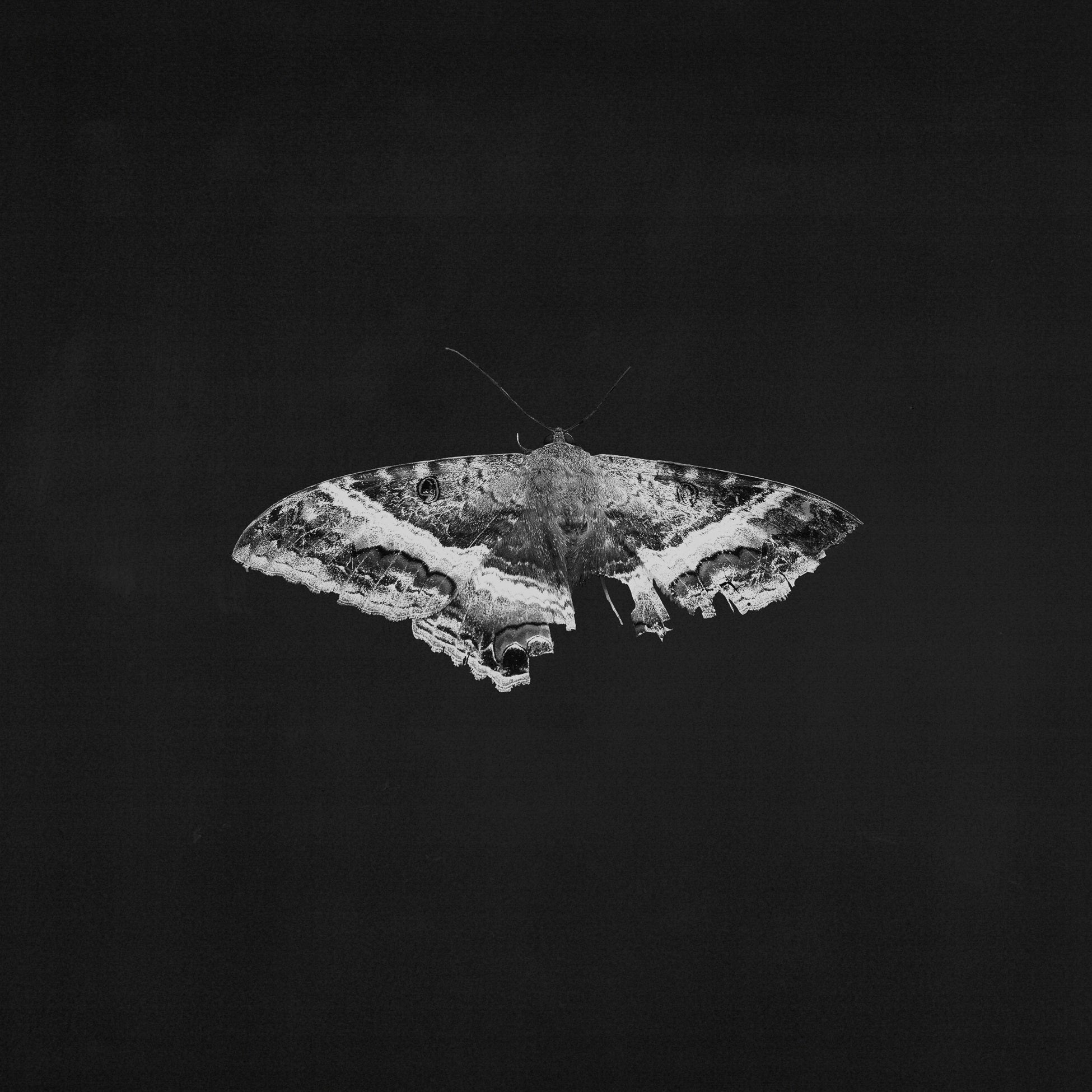 Lamar, Kendrick: To Pimp A Butterfly - 10th Anniversary Edition (Coloured Vinyl 2xLP)