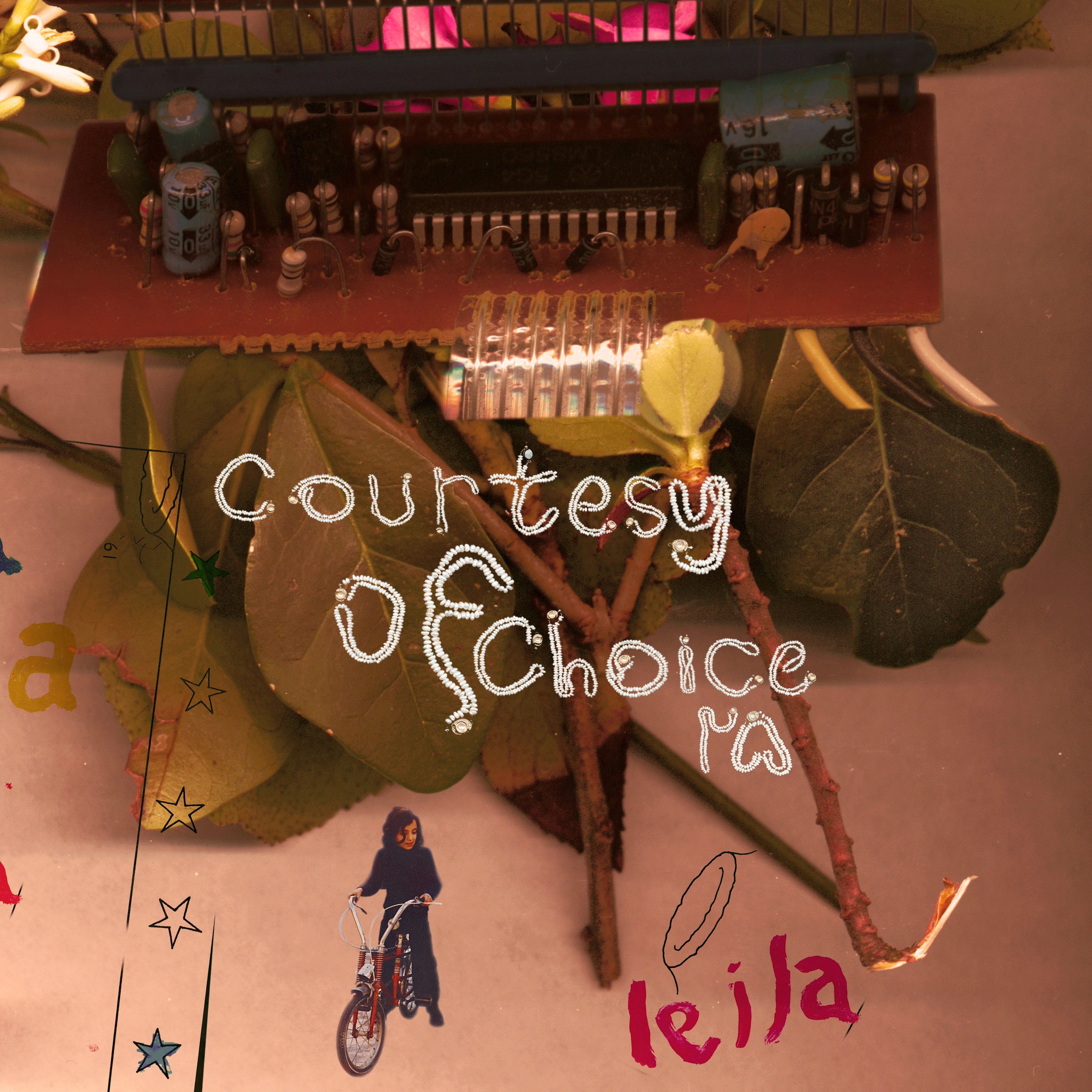 Leila: Courtesy Of Choice ۲۵ … Asides And Besides (Vinyl 3xLP)