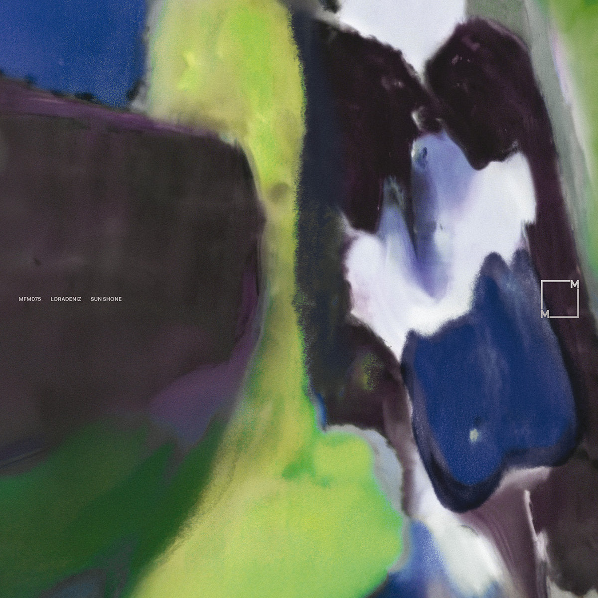 Loradeniz: Sun Shone (Vinyl LP)