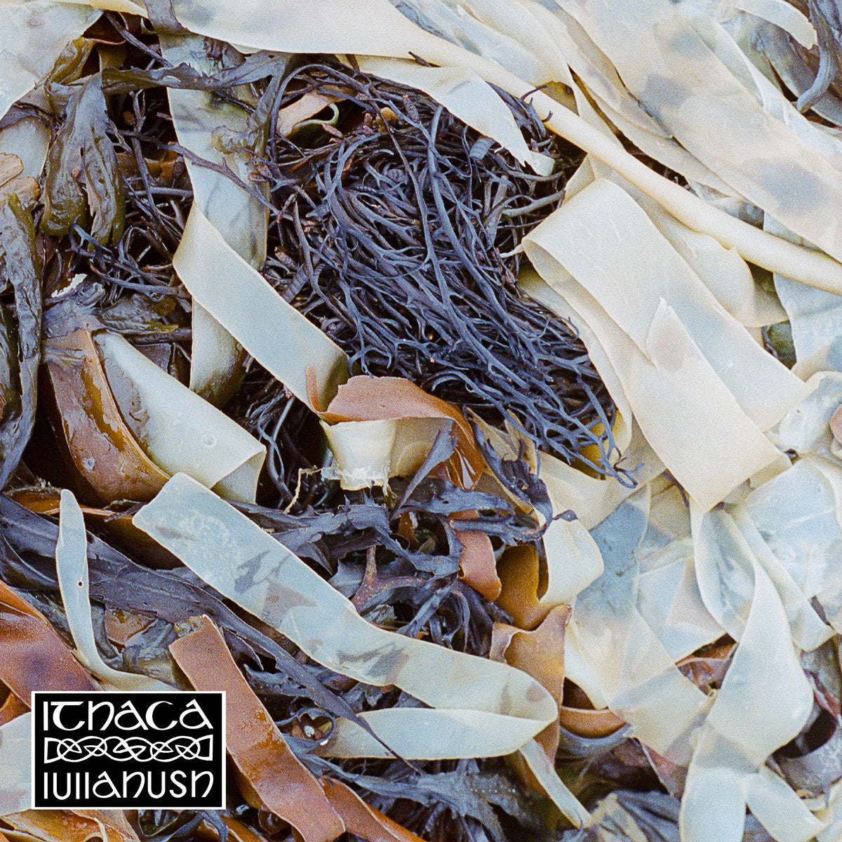 Lullahush: Ithaca (Vinyl LP)