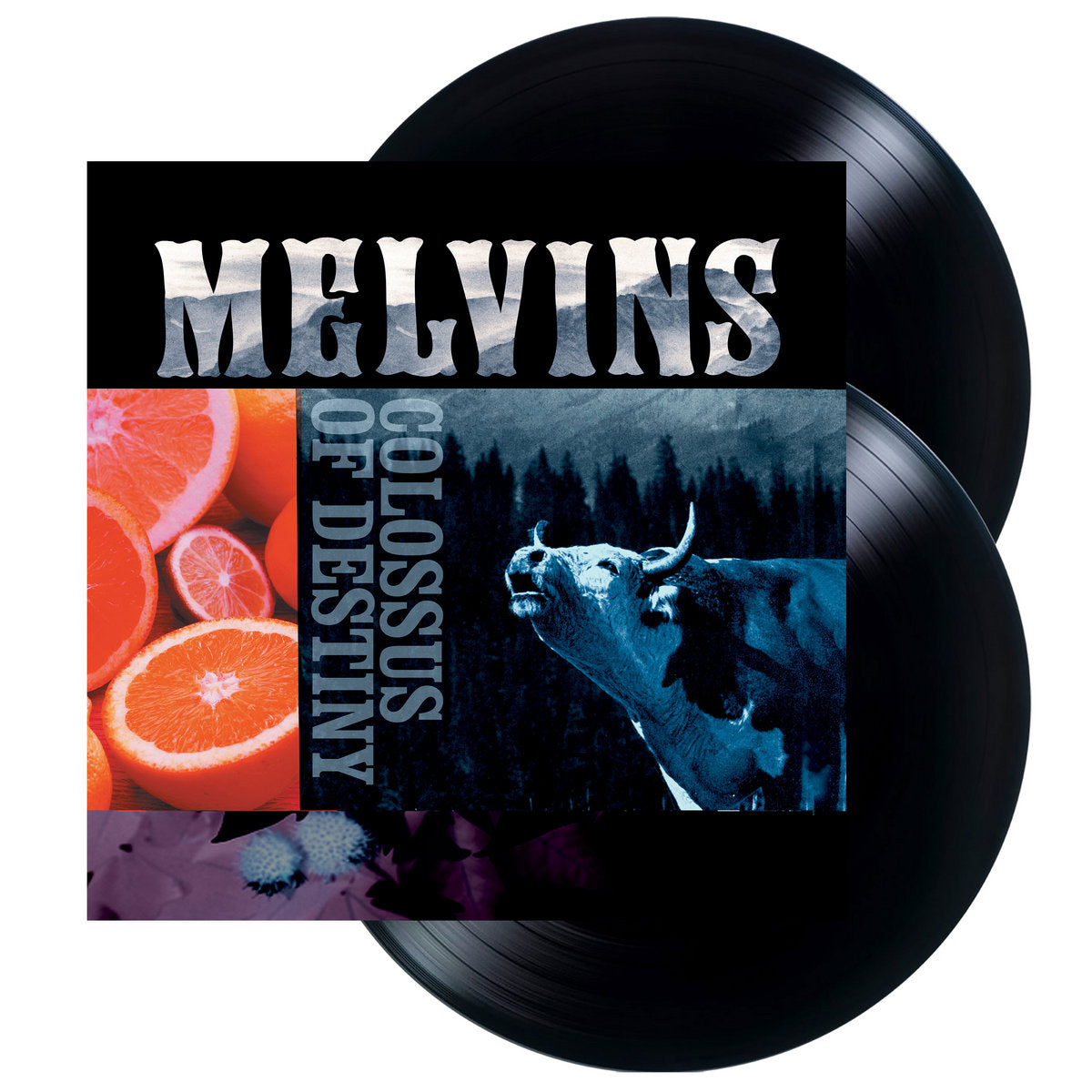 Melvins: Colossus Of Destiny (Vinyl 2xLP)