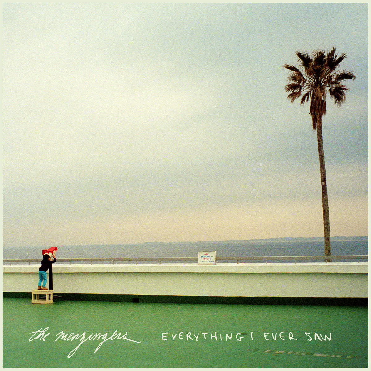 Menzingers, The: Everything I Ever Saw (Vinyl LP)