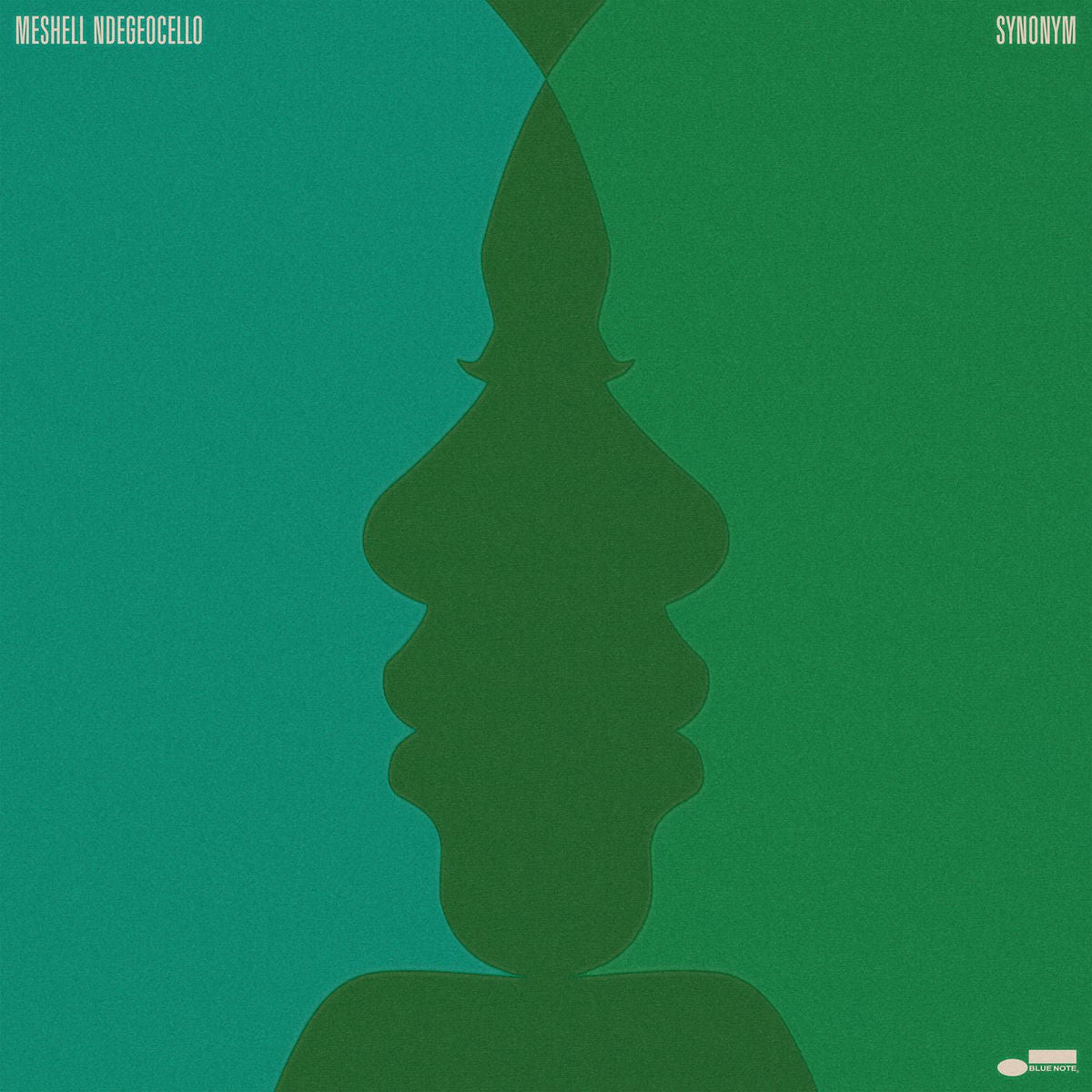 Ndegeocello, Meshell: Synonym