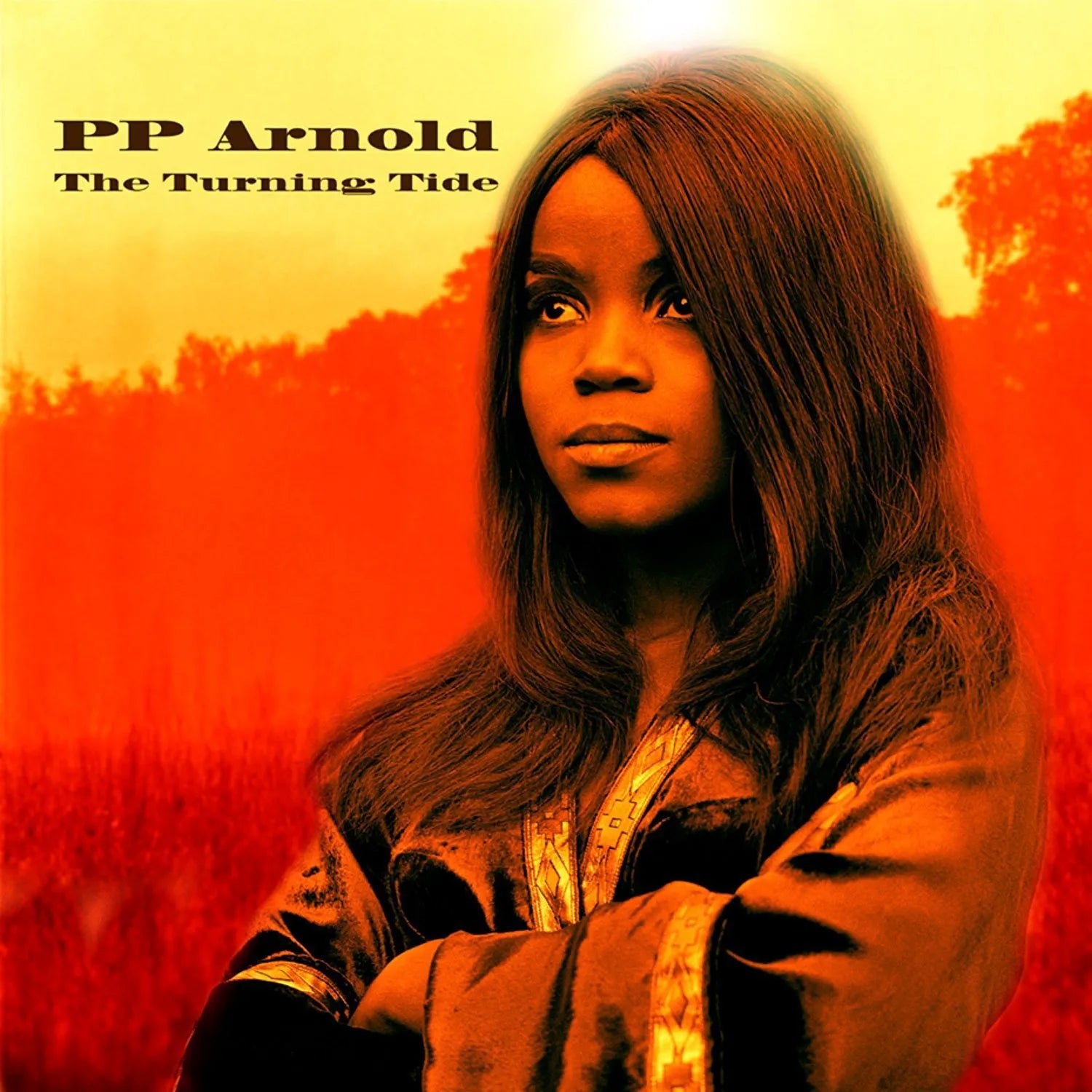 PP Arnold: The Turning Tide (Used Vinyl LP)