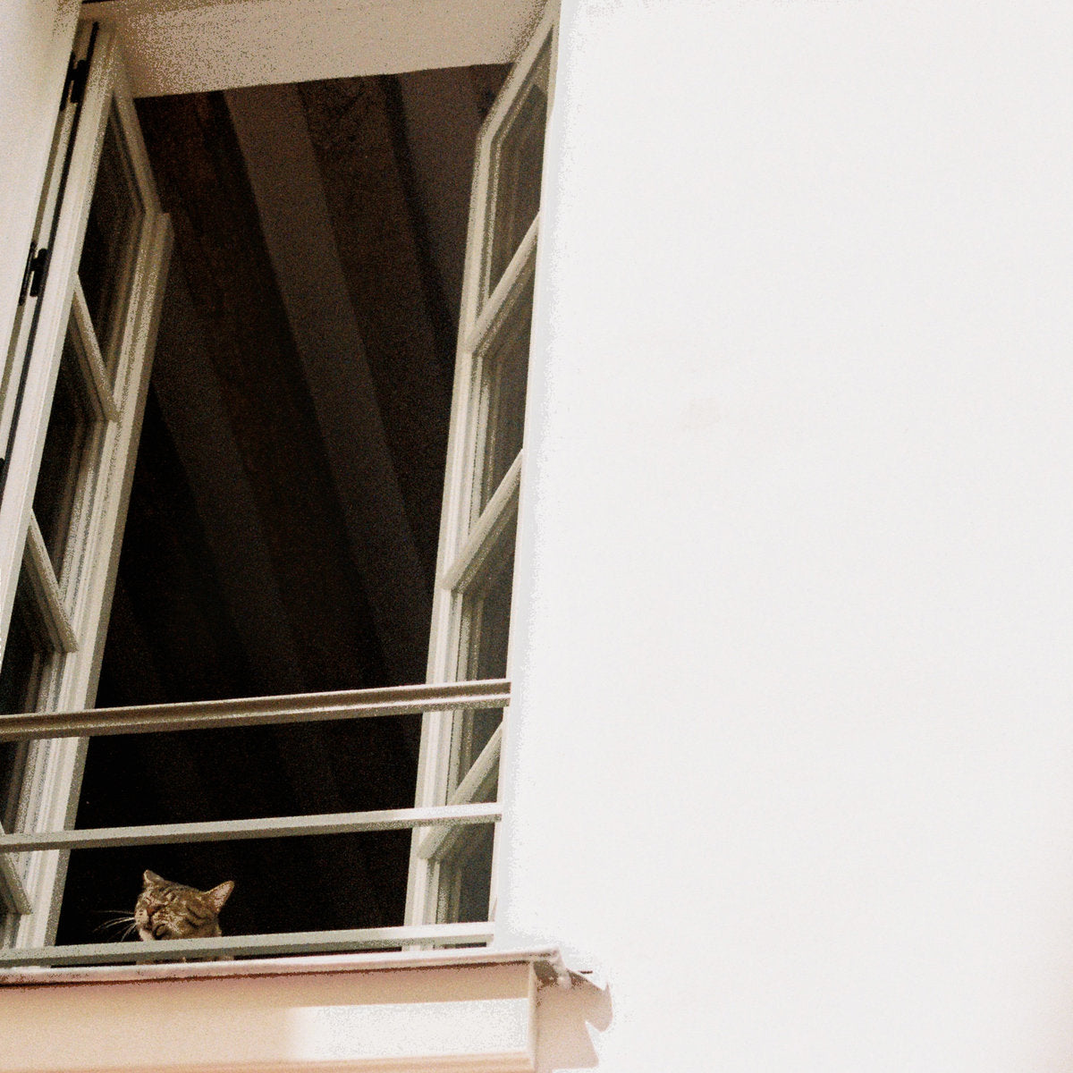 M(h)aol: Something Soft (CD)