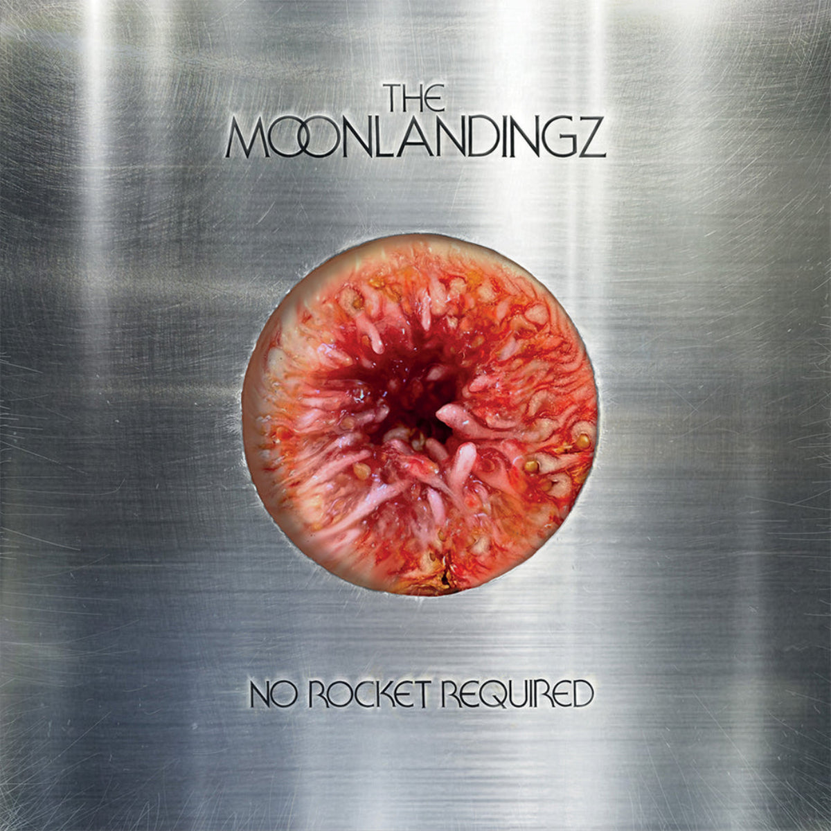 Moonlandingz, The: No Rocket Required (CD)